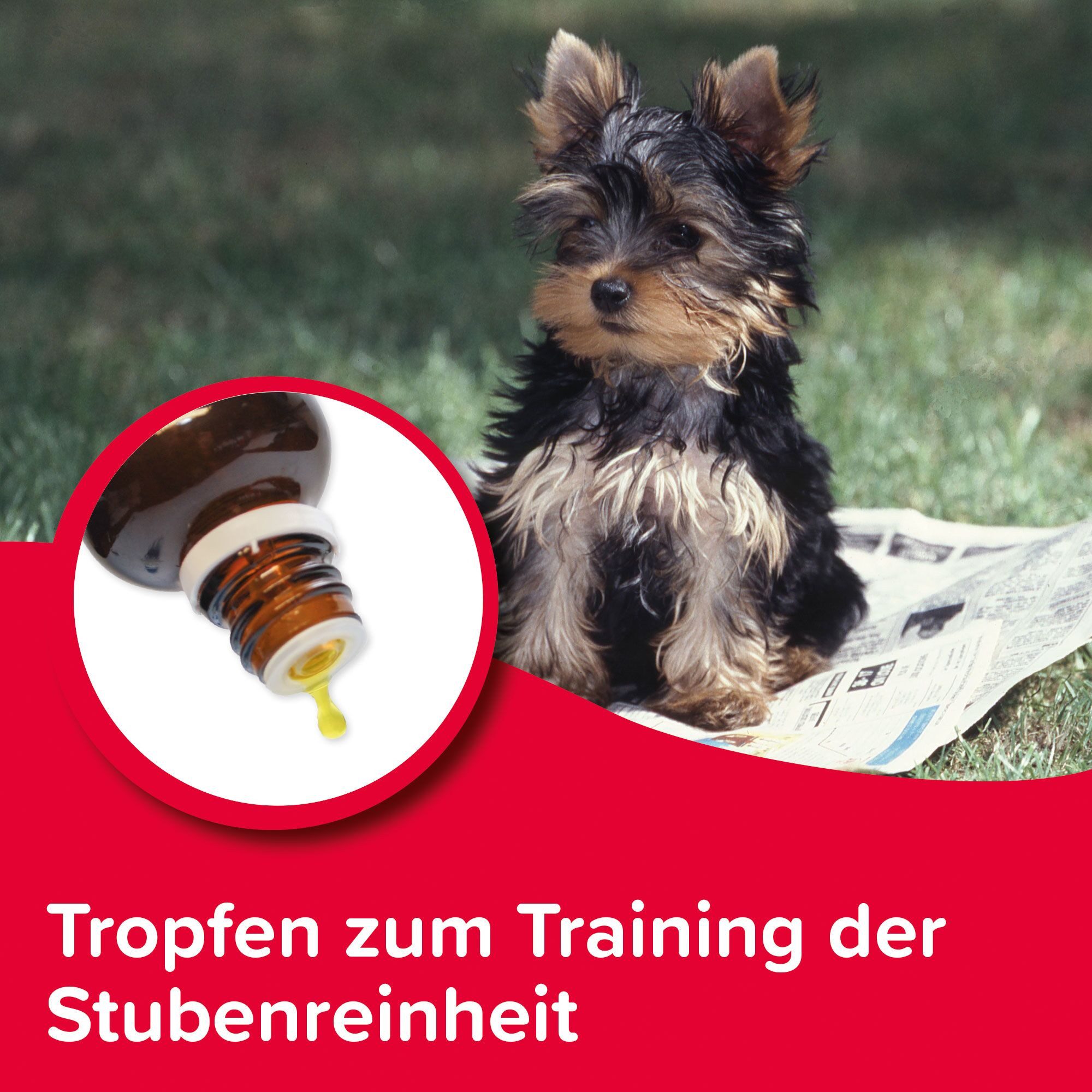 beaphar Hundetoilette Beaphar Puppy Trainer, Stubenrein-Trainer für Welpen - 20 ml
