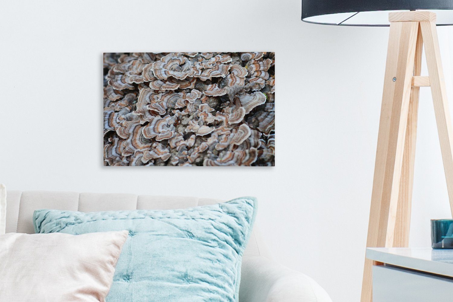 OneMillionCanvasses® Leinwandbild Aufhängefertig, Leinwandbilder, Wanddeko, Wandbild Baum, St), cm 30x20 (1 Pilze einem auf