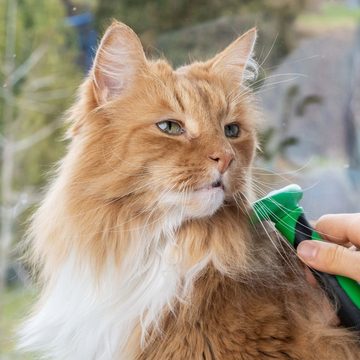 FinoPet Fellbürste Katzenbürste für Kurzhaar & Langhaar Katzen, Edelstahl, Für kleine, mittlere und große Katzen