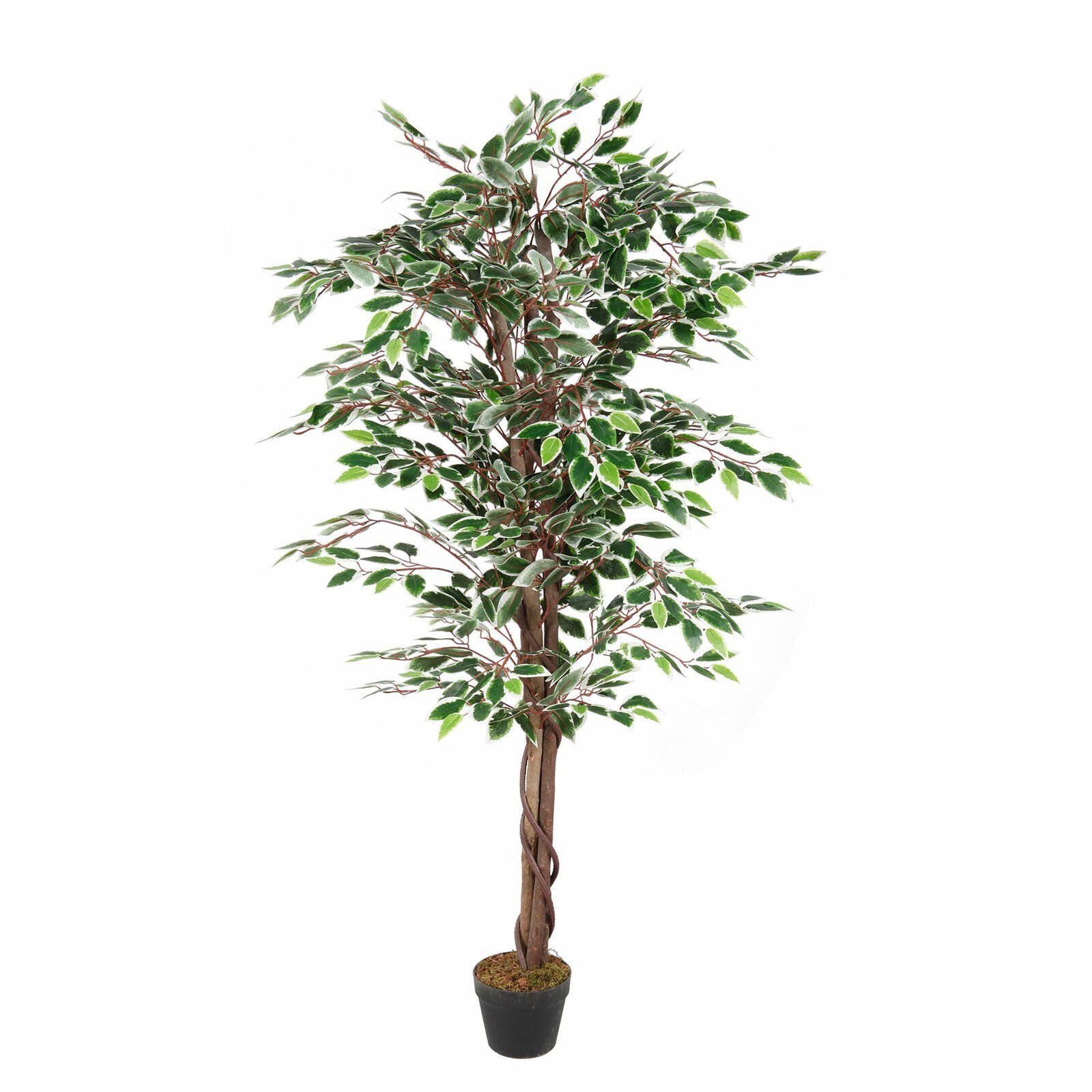 Kunstpalme XL Kunstpflanze Kunstbaum 1008 160cm Zimmerpflanze, Holzstamm Ficus Blätter Mojawo