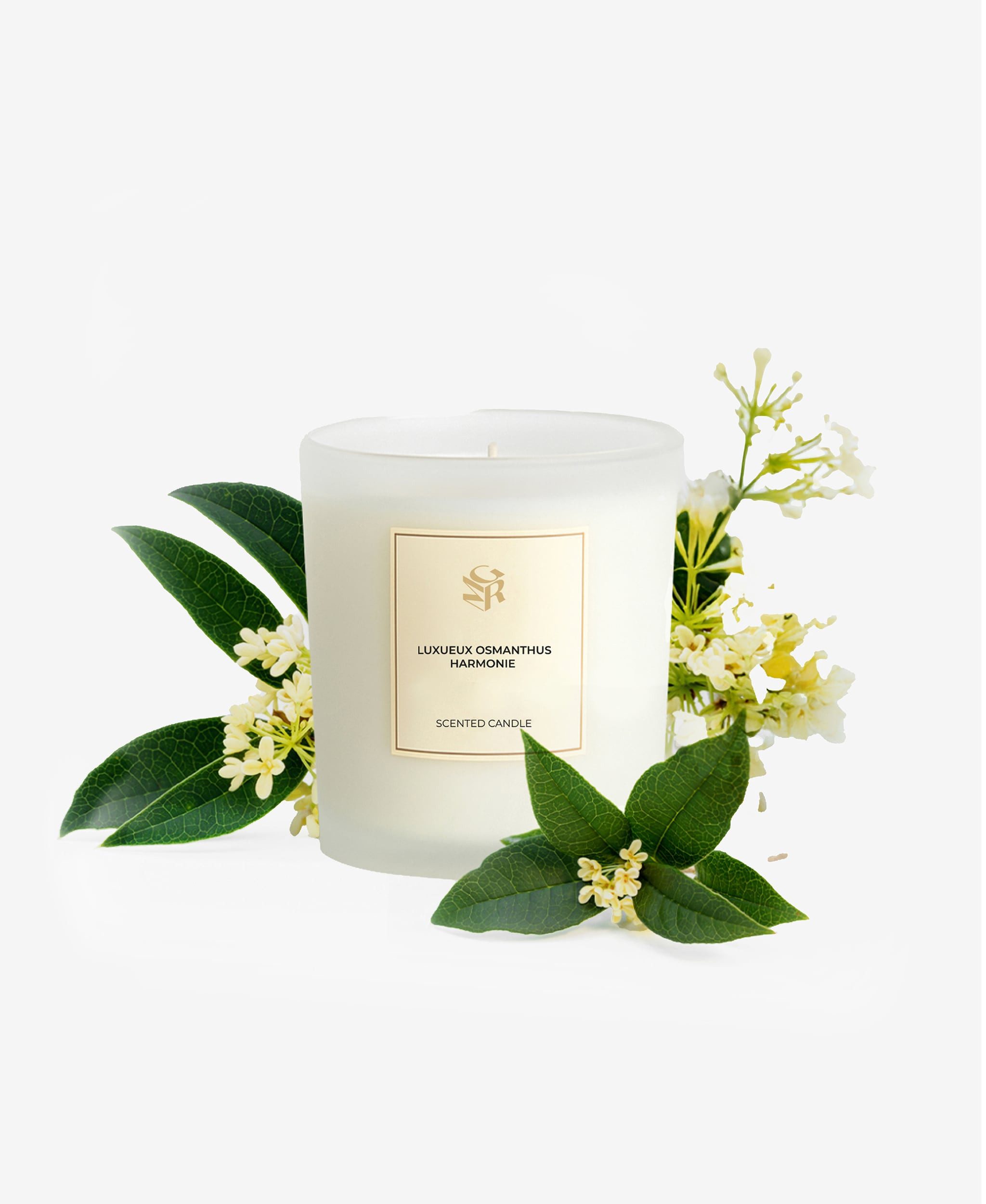GLAMIRA Stumpenkerze Luxueux Osmanthus Harmonie (1-tlg), Luxuriöser Osmanthus Harmonie Duft, 43 Stunden Brenndauer