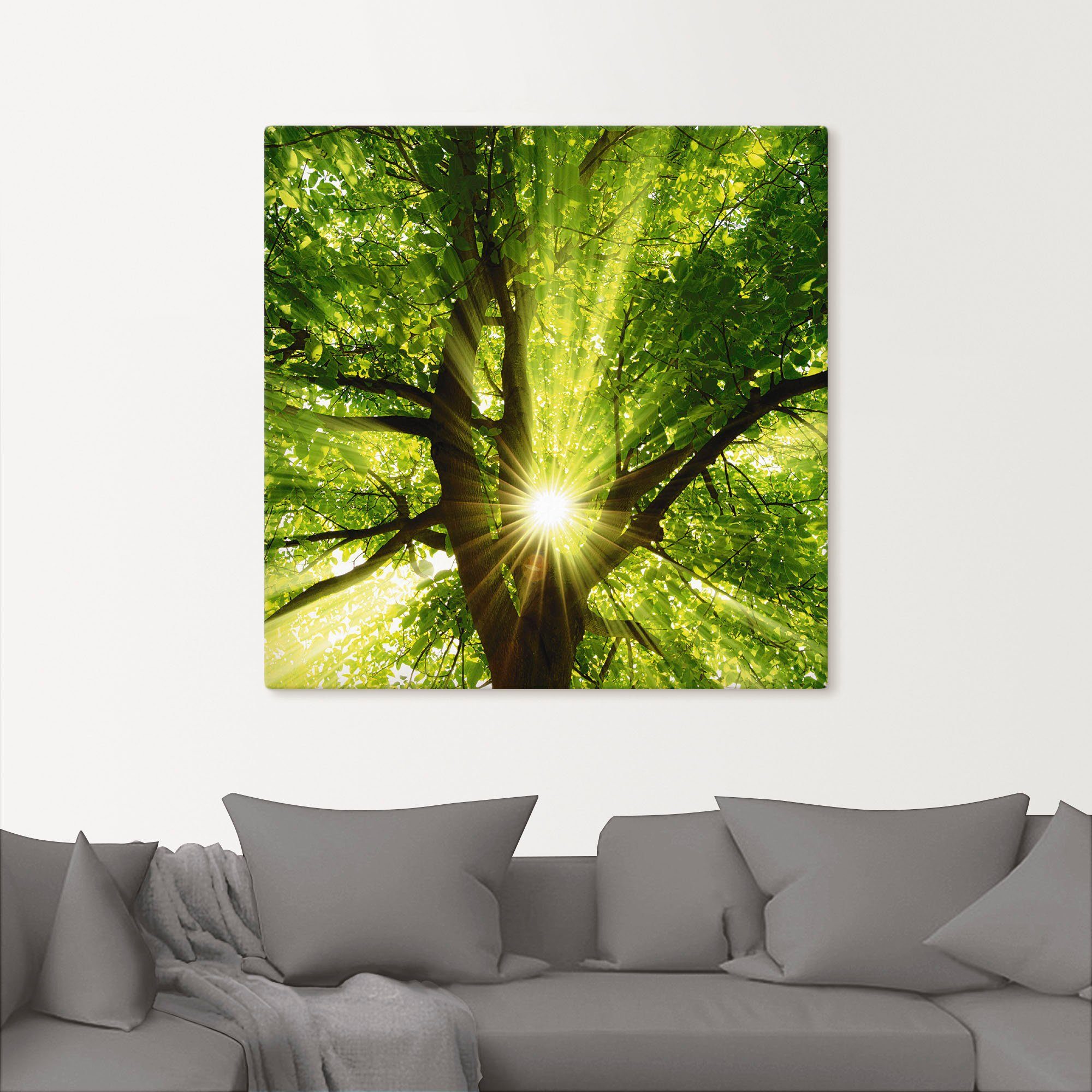 Artland Wandbild Sonne strahlt explosiv durch den Baum, Bäume (1 St), als Leinwandbild, Poster in verschied. Größen