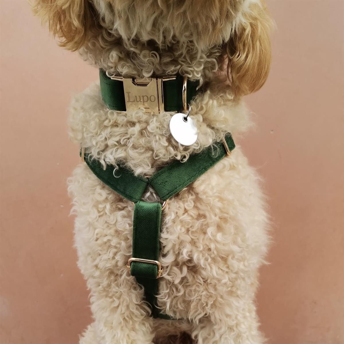 dazikemo Geschirr Hundegeschirr Forest M günstig online kaufen