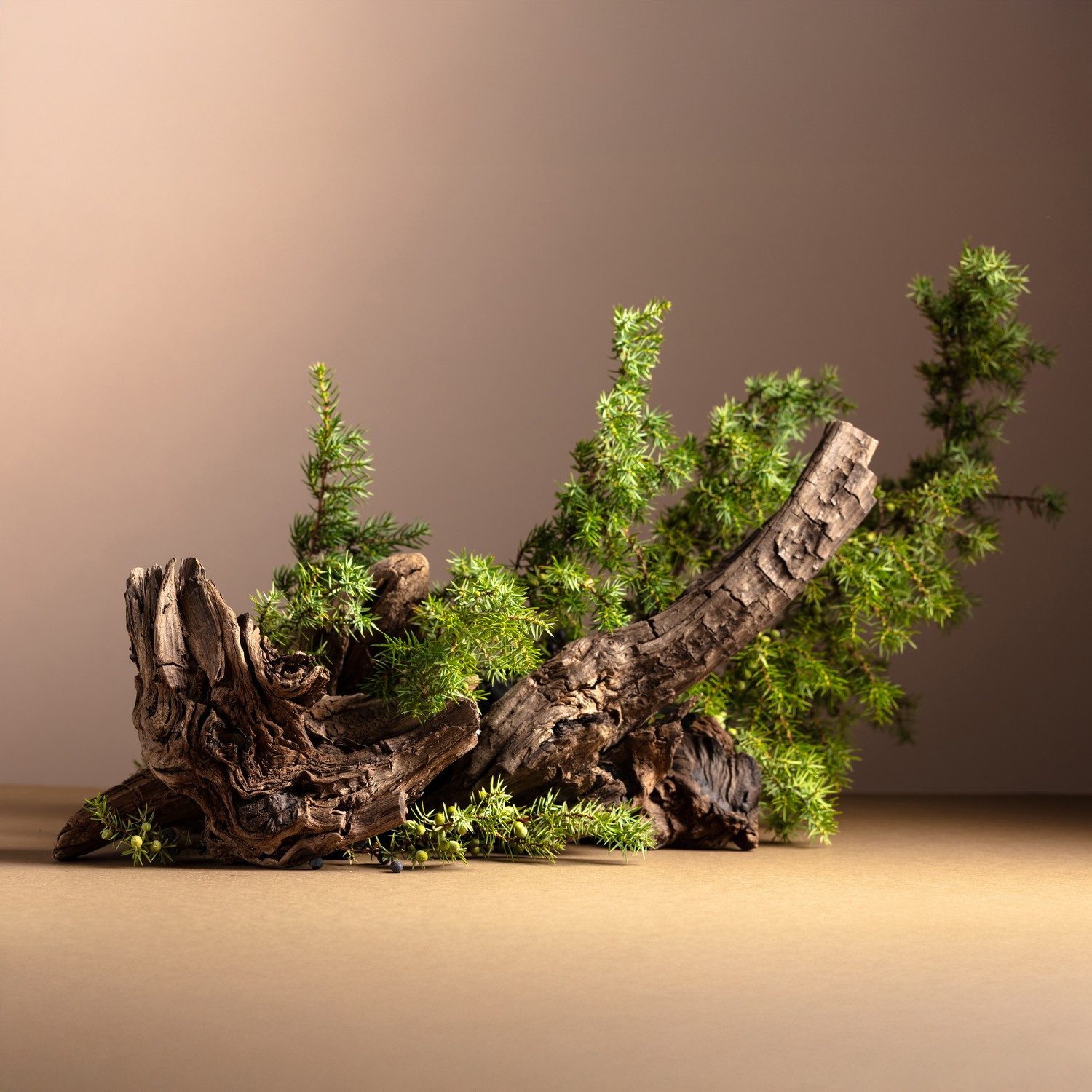 Wallario Möbelfolie Komposition aus Holz und Grün