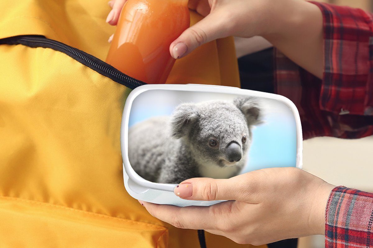 MuchoWow Lunchbox Koala - und Kinder - Erwachsene, für Brotdose, Mädchen, - - Brotbox für Tier (2-tlg), Porträt Jungen - weiß Kunststoff, Jungs Mädchen und Kinder