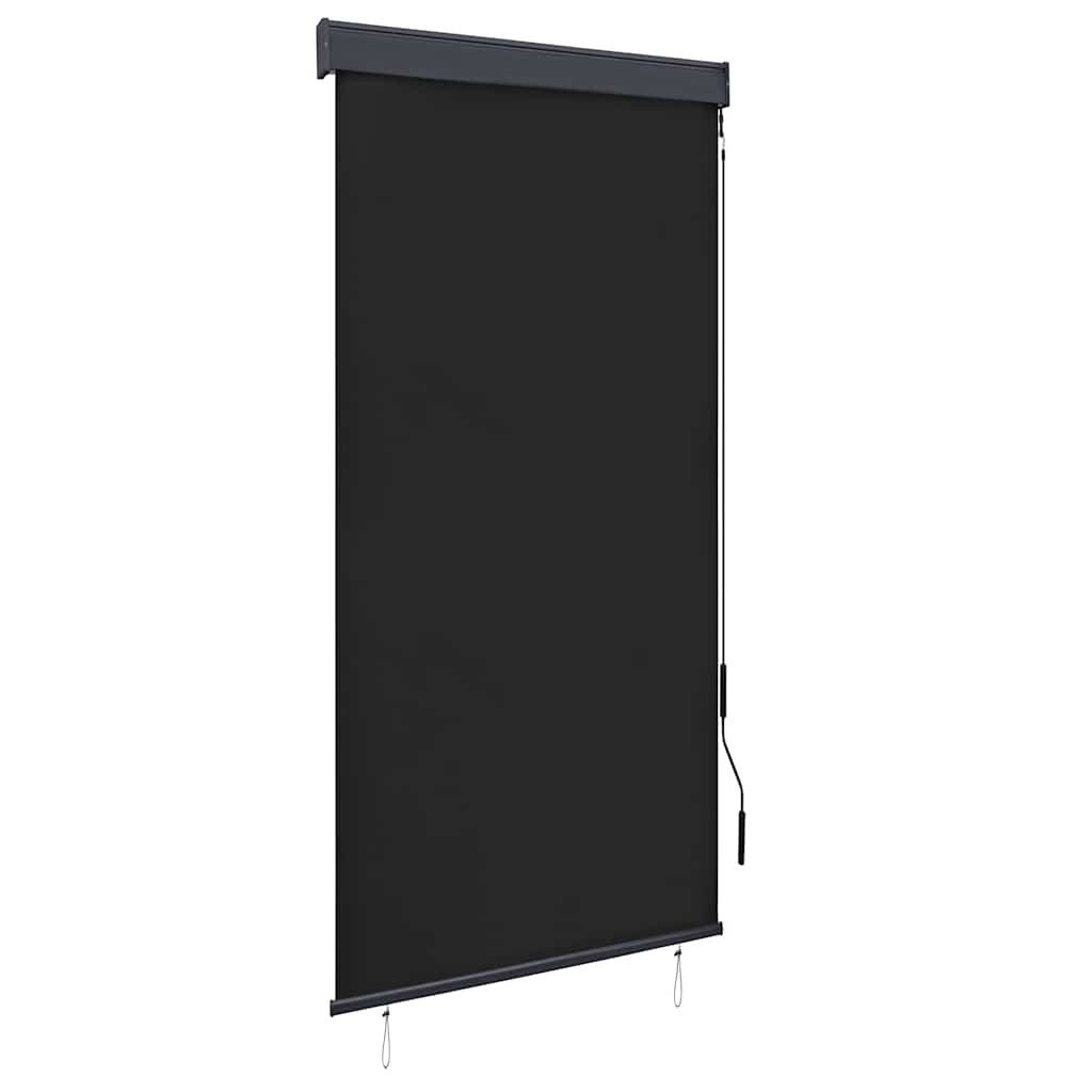 Rollo Außenrollo 100 x 250 cm Anthrazit, vidaXL