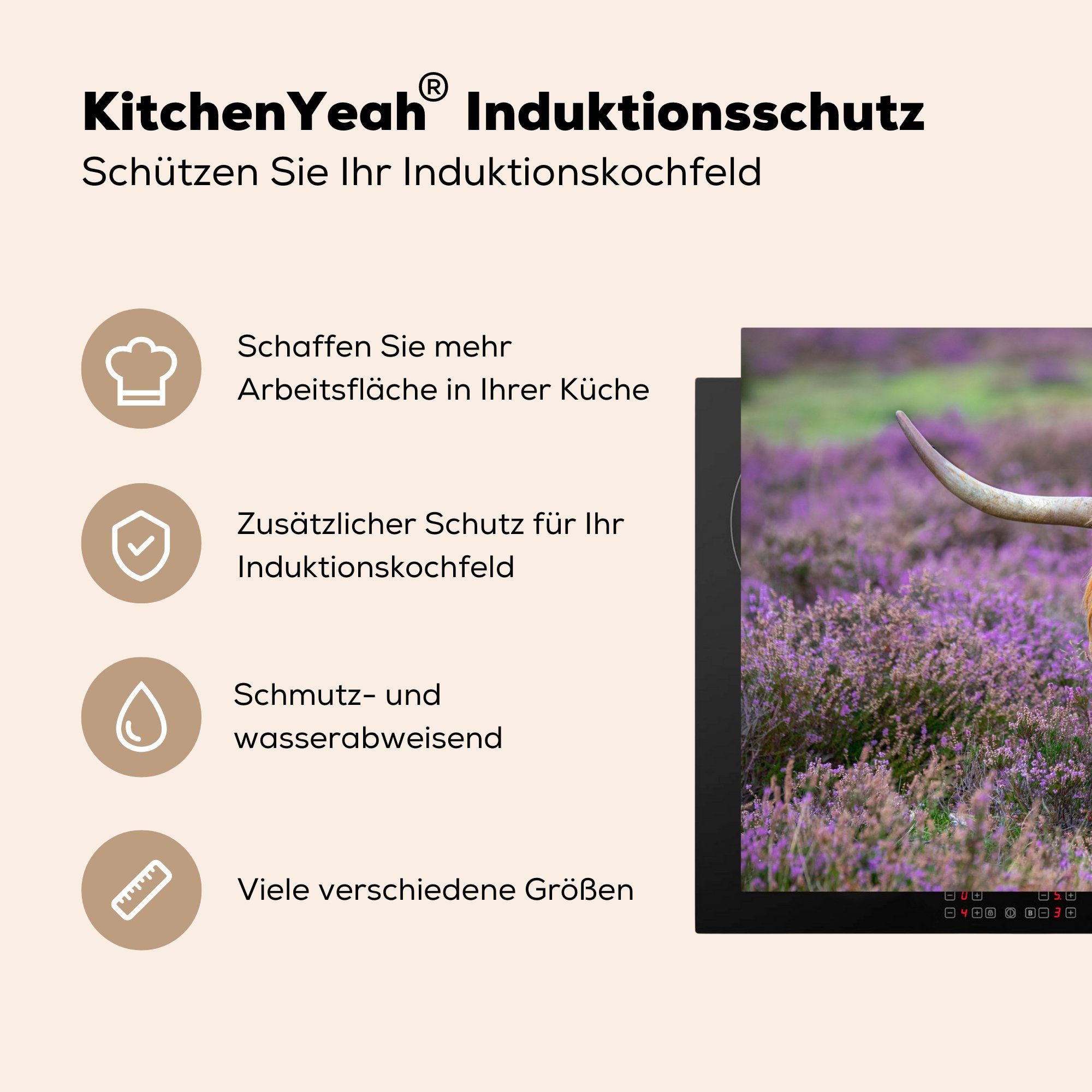 MuchoWow Herdblende-/Abdeckplatte Lavendel 81x52 cm, - Vinyl, küche, Ceranfeldabdeckung Induktionskochfeld Schottischer die Highlander - Hörner, für Schutz (1 tlg)