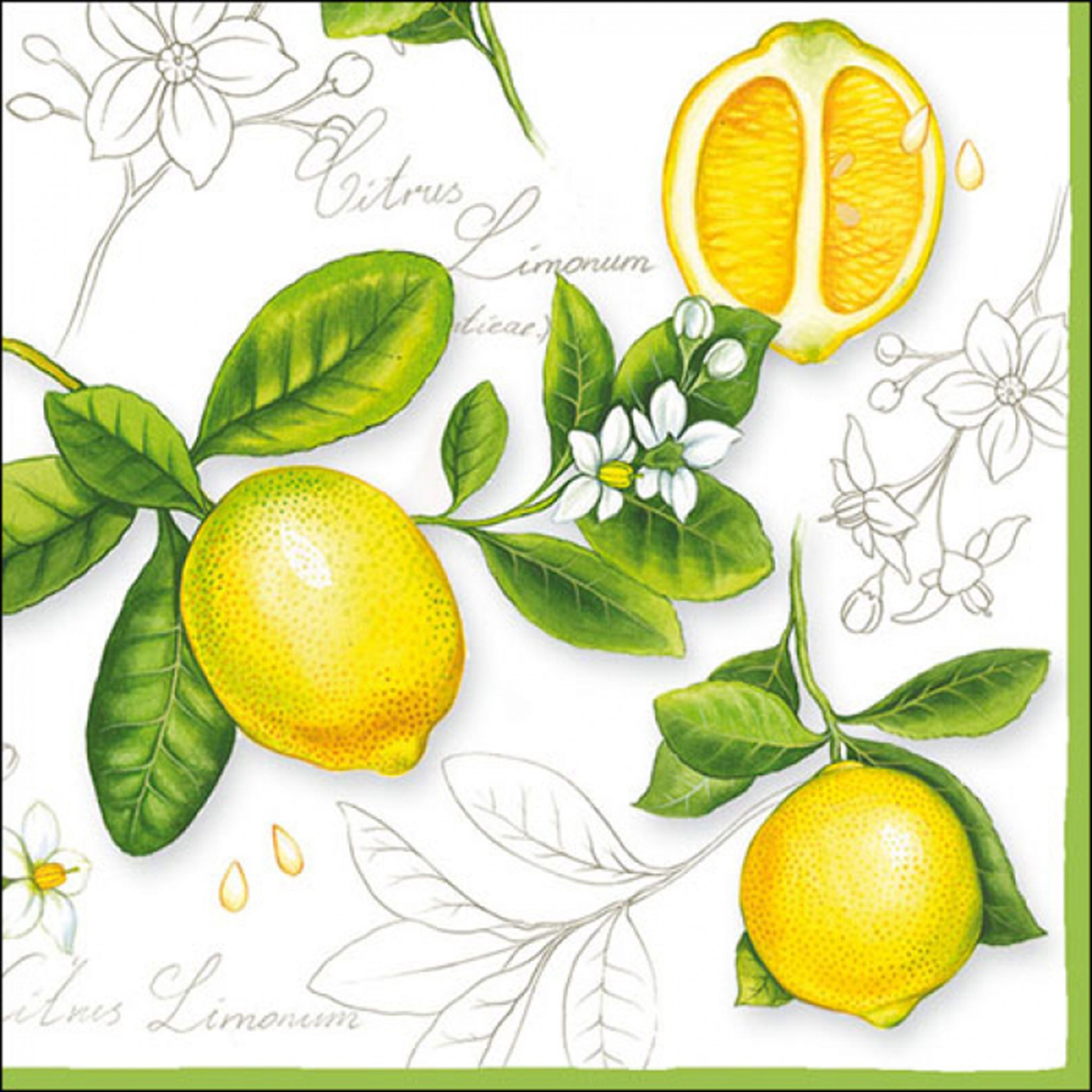 Ambiente Luxury Paper Products Papierserviette, Servietten Papier 33x33cm 3-lagig mit Vintage Zitronen Motiv 20 Stück