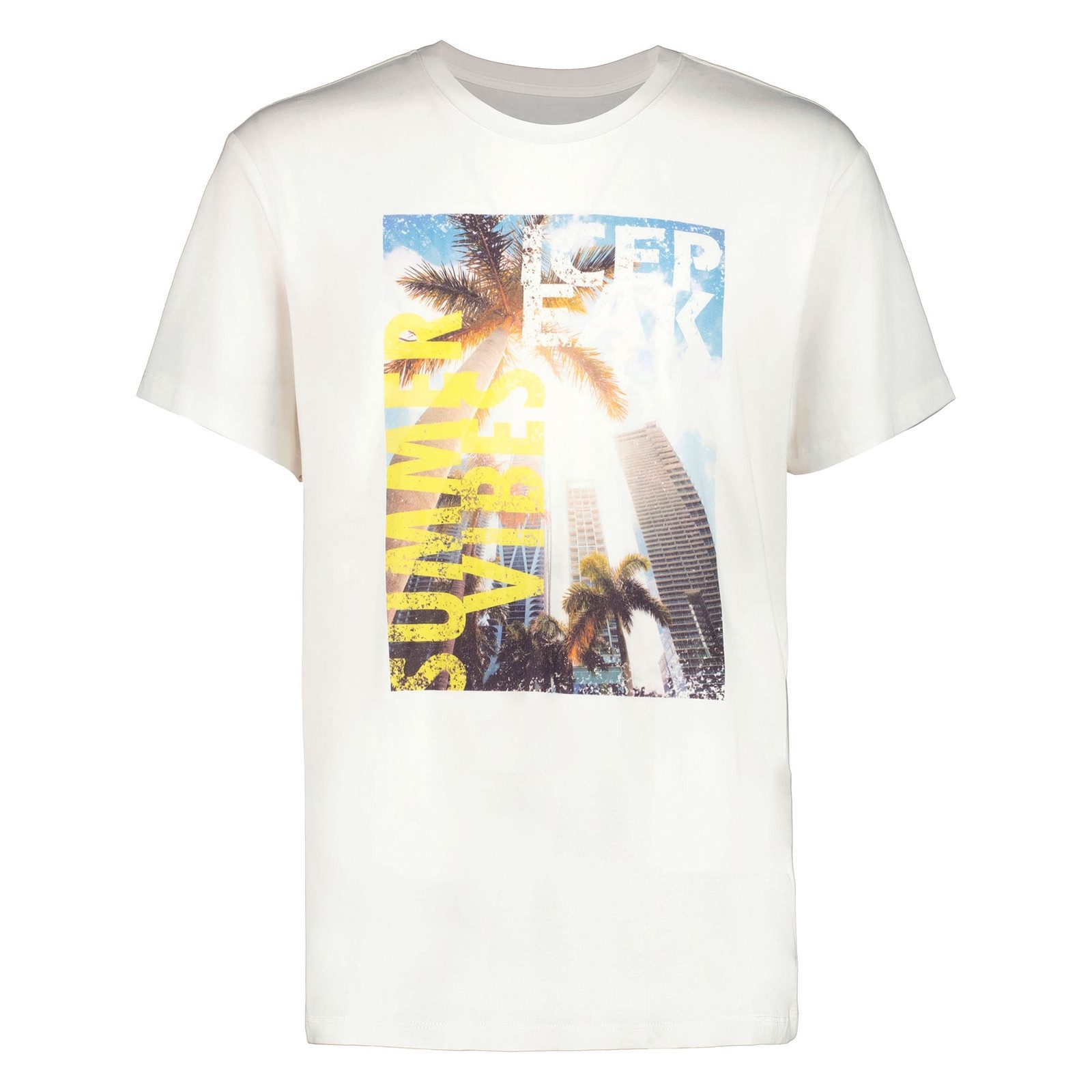 Icepeak T-Shirt Macatawa mit Print auf der Vorderseite