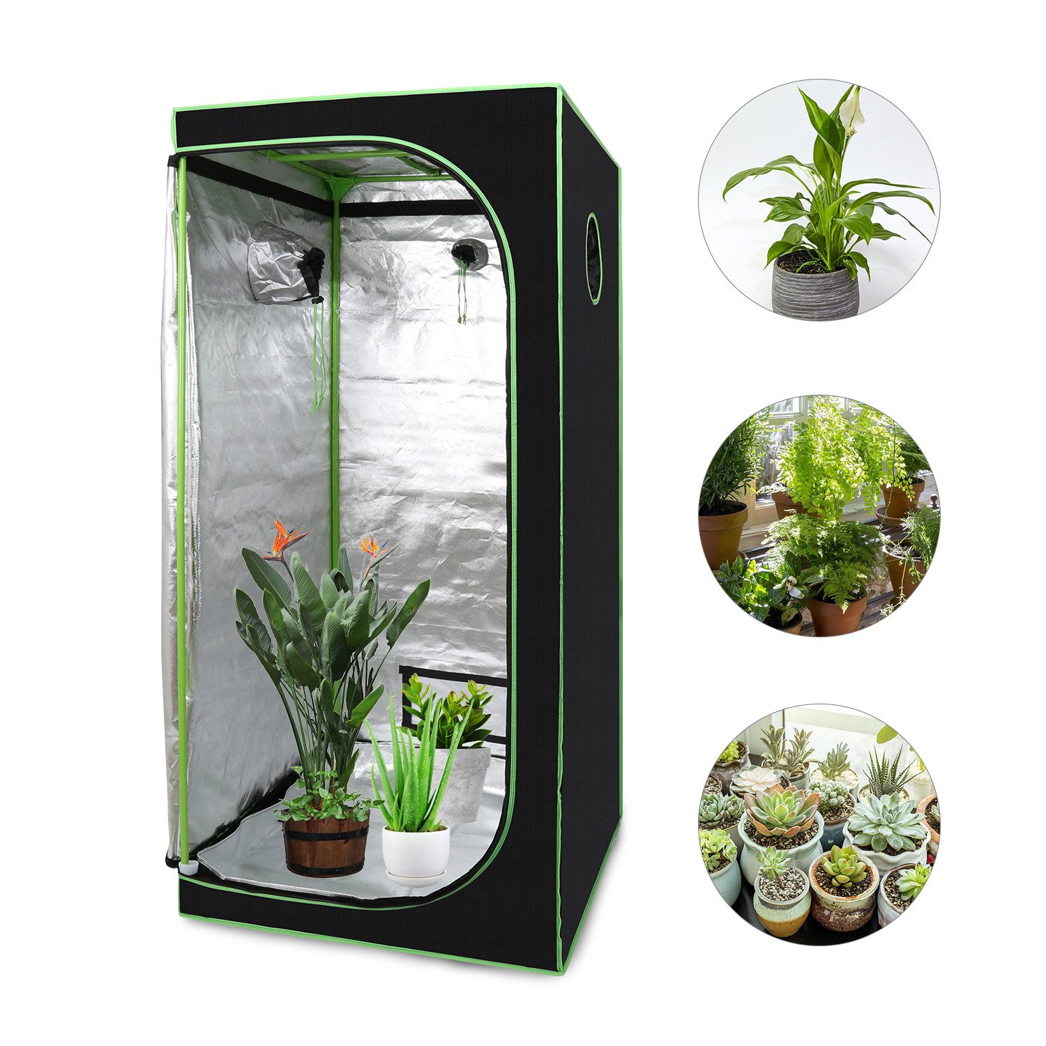 Clanmacy Gewächshaus Growzelt Growbox 80x80x180cm Indoor Pflanzenzelt Zuchtzelt, mit Sichtfenster, Regulierbare Belüftungsöffnungen, UV-Schutz, Langlebig  | Rabatt: 34%