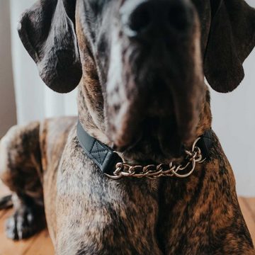 Hunter Tierbedarf Hunde-Halsband Halsung mit Kette Aalborg, Leder