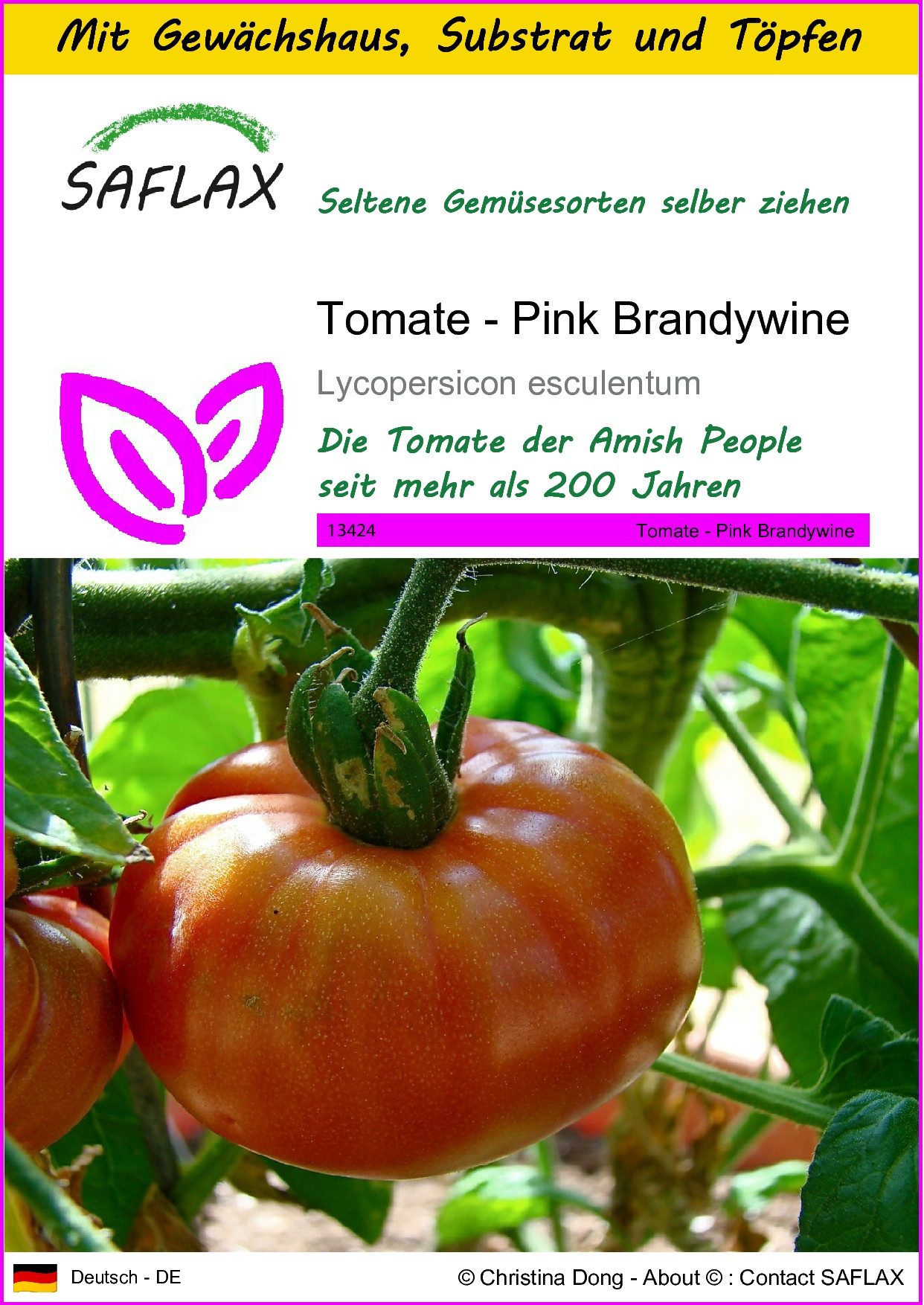 SAFLAX Gemüsesamen SAFLAX - Anzuchtset - Tomate - Pink Brandywine