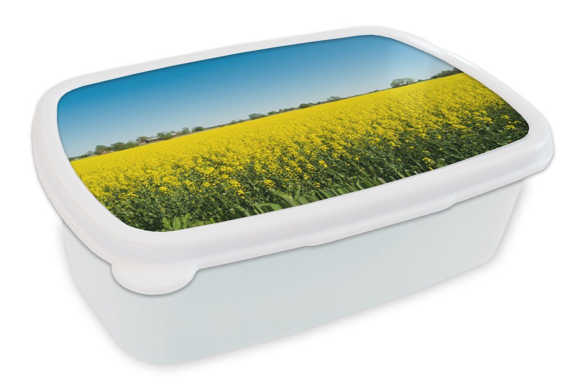 MuchoWow Lunchbox Ölsaat - Gelb - Frühling, Kunststoff, (2-tlg), Brotbox für Kinder und Erwachsene, Brotdose, für Jungs und Mädchen weiß