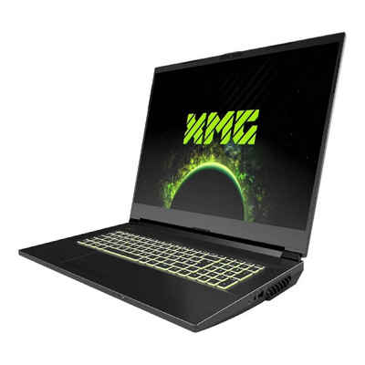 Schenker Schenker XMG APEX 17 M21 - AMD Ryzen 7 5800H / 3.2 GHz - Win 10 Pro 64 Notebook (43.9 cm/17.3 Zoll, AMD Ryzen 7)