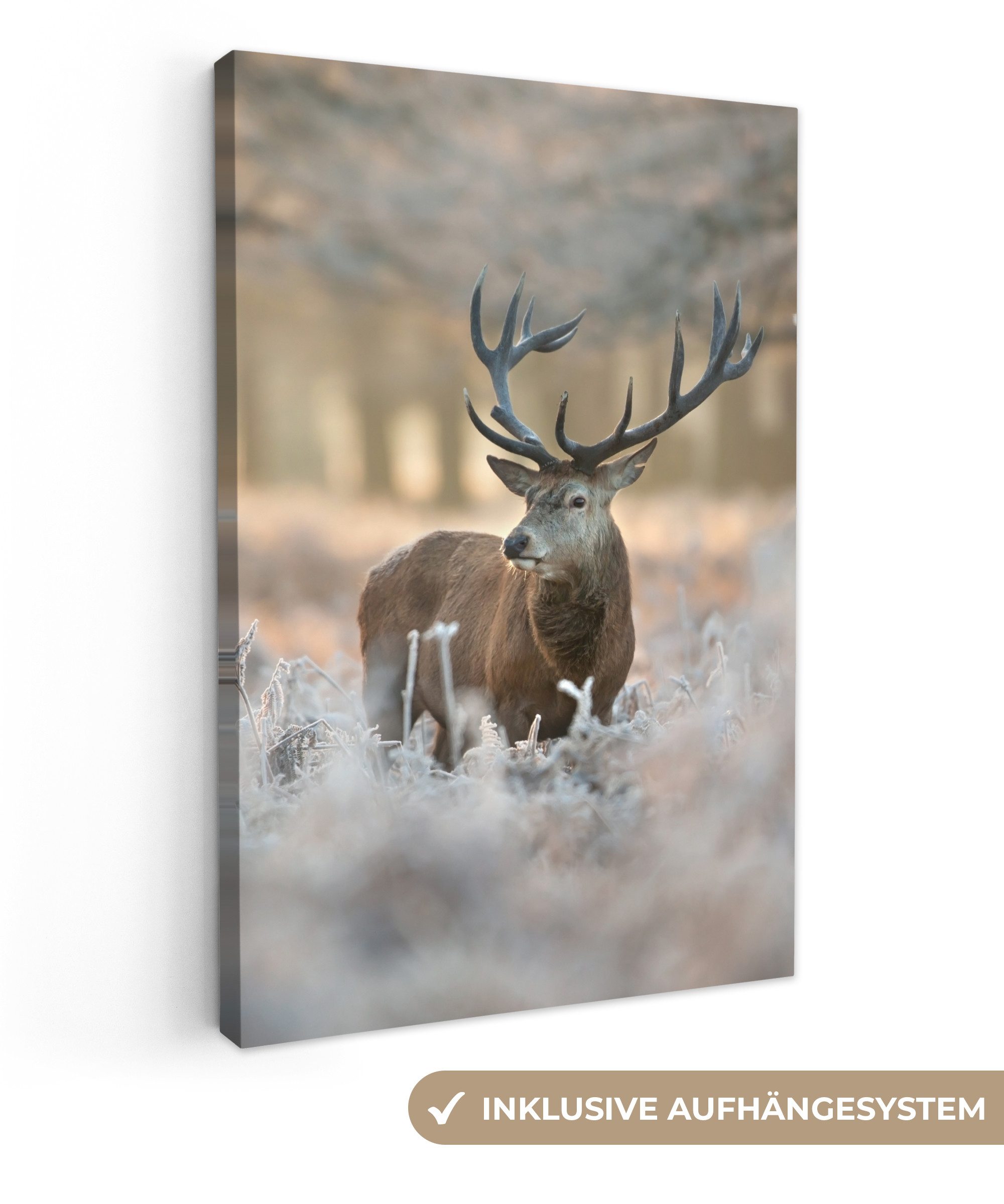 OneMillionCanvasses® Leinwandbild Hirsche - Tiere - Winter, Fotodruck (1 St günstig online kaufen