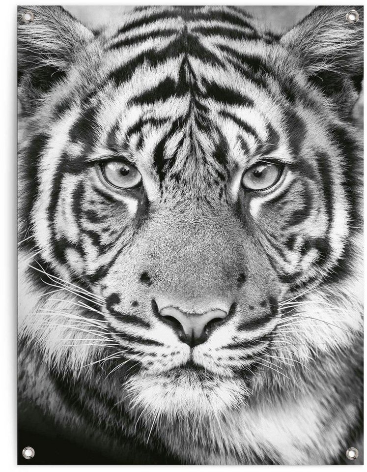 Reinders! Poster Tigerblick, Hochwertiger Druck aus 100 % pvc für den  Außeneinsatz