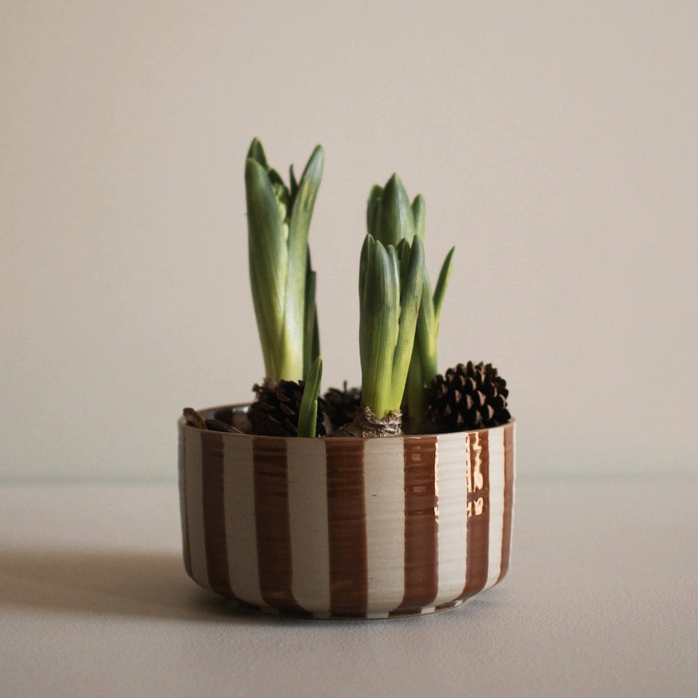 dbkd Dekoobjekt Schale Line - stripe nougat