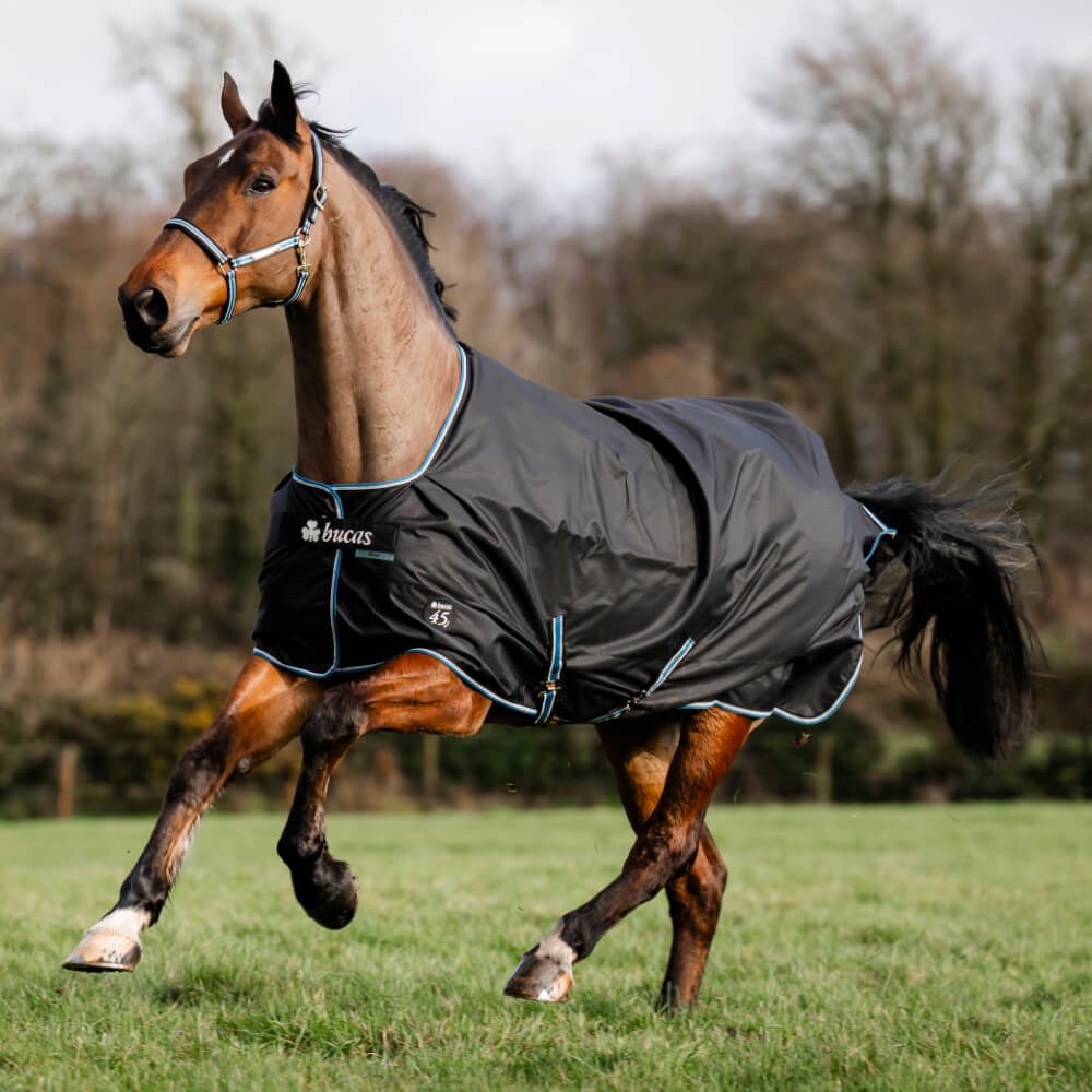 Pferde-Regendecke Bucas Anniversary Turnout Light SD 0g