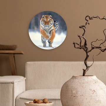 MuchoWow Gemälde Tiger - Landschaft - Schnee - Tiere, (1 St), Kreis Wanddekoration Forex, Rundes Wandbild, Wohnzimmer, 30x30 cm