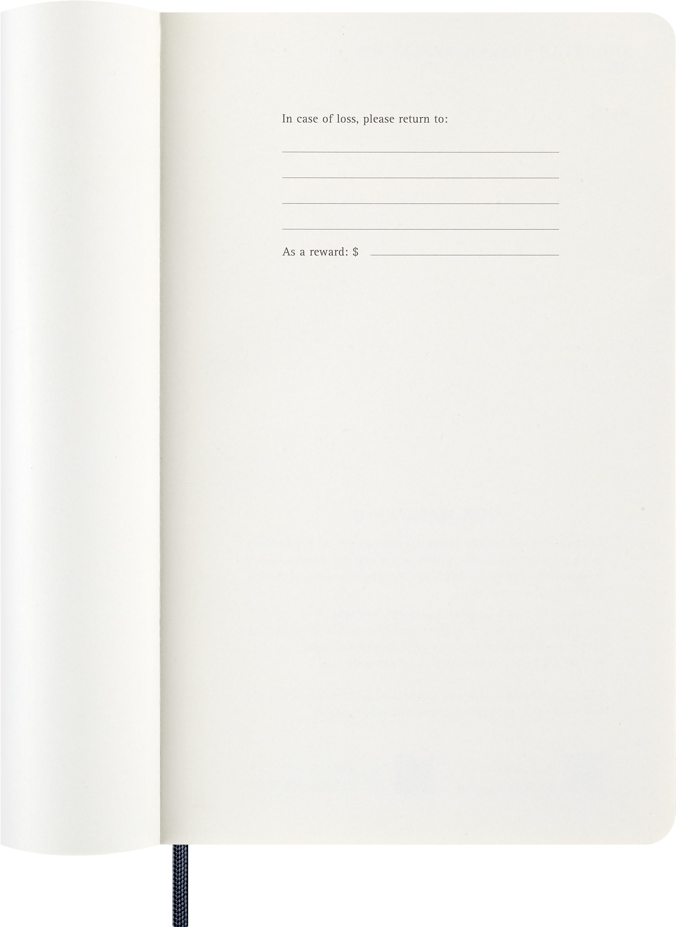 MOLESKINE Buchkalender, MOLESKINE 12 MONATE TAGES NOTIZKALENDER 2027 - SOFTCOVER - L/A5 - BLAU