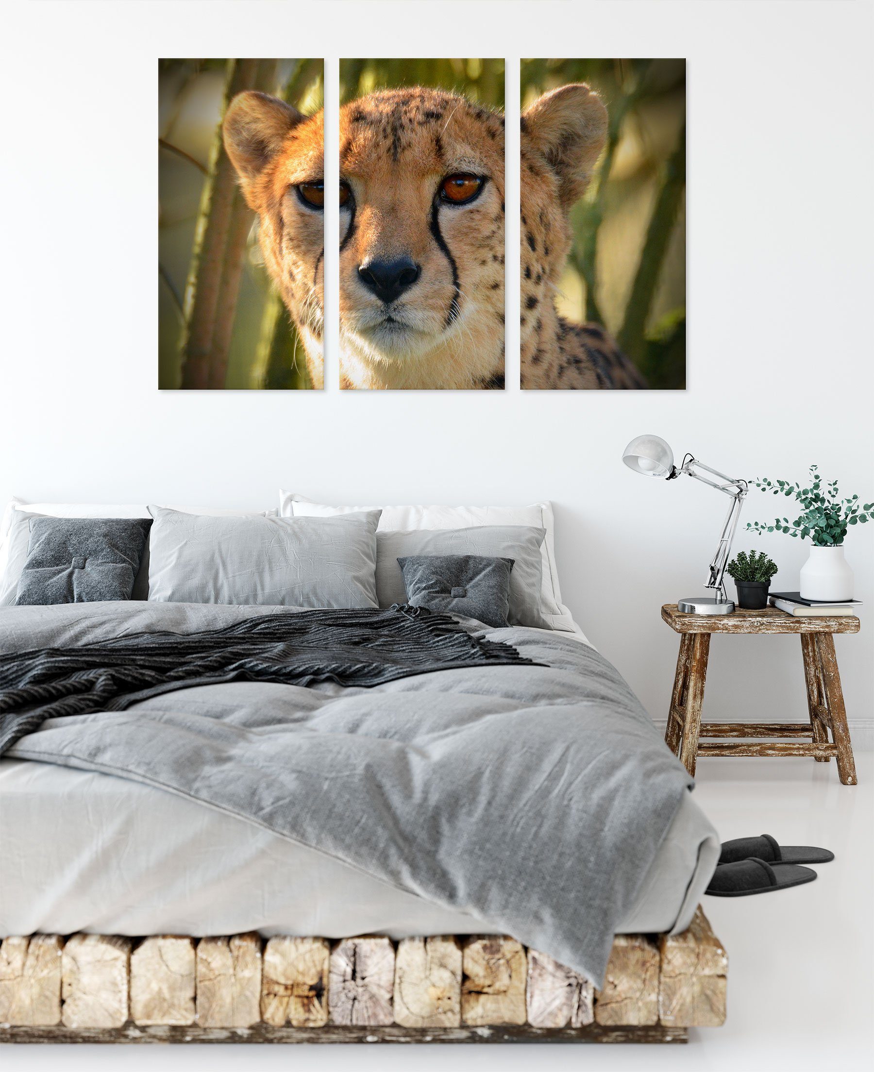 Dschungel, im St), inkl. Leinwandbild junger bespannt, Pixxprint (120x80cm) 3Teiler Gepard fertig (1 junger Dschungel Leinwandbild im Gepard Zackenaufhänger