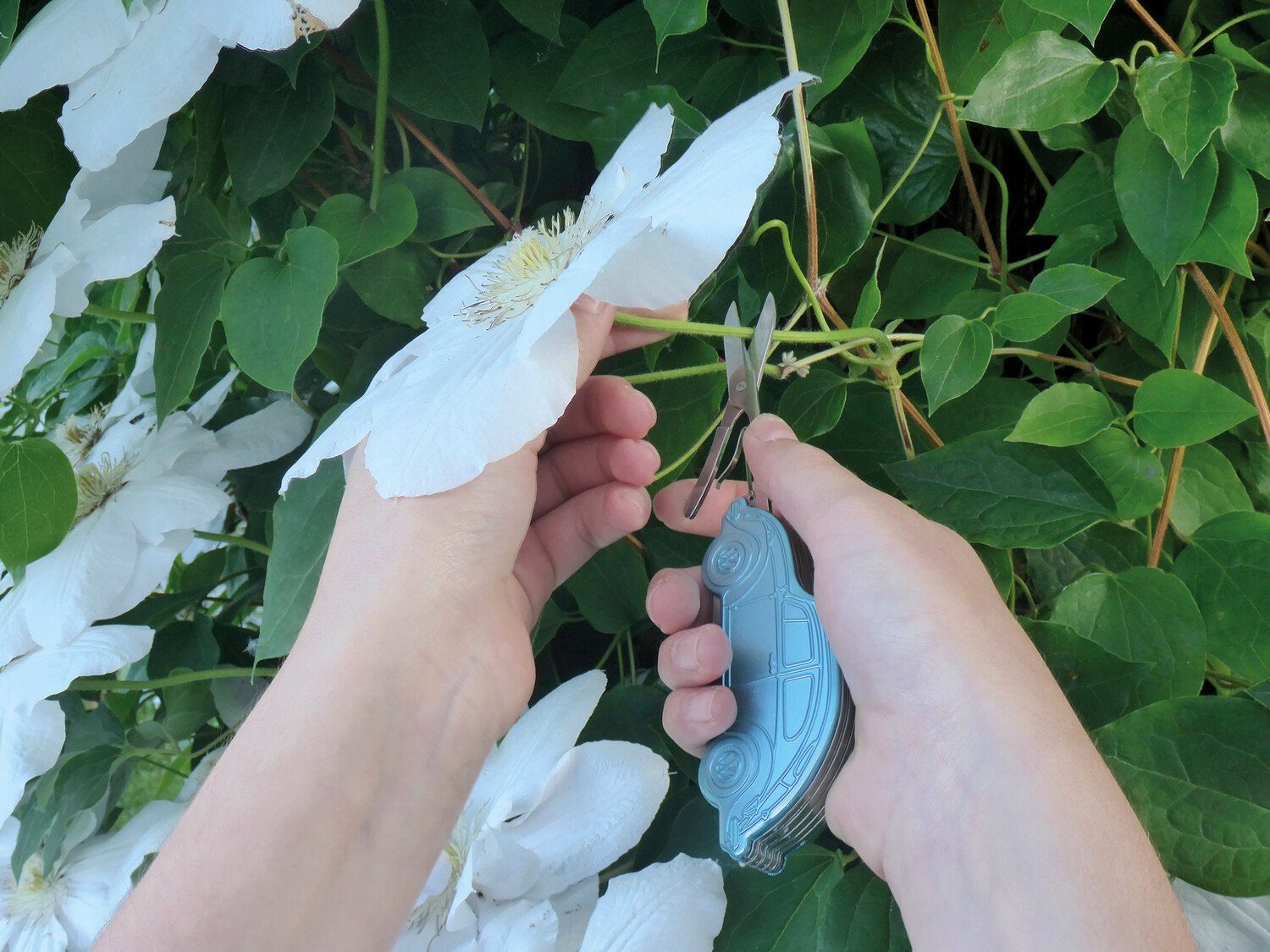 VW Collection by BRISA Multitool Volkswagen Taschenmesser mit 6 Funktionen, blaues Klappmesser im VW Käfer-Design