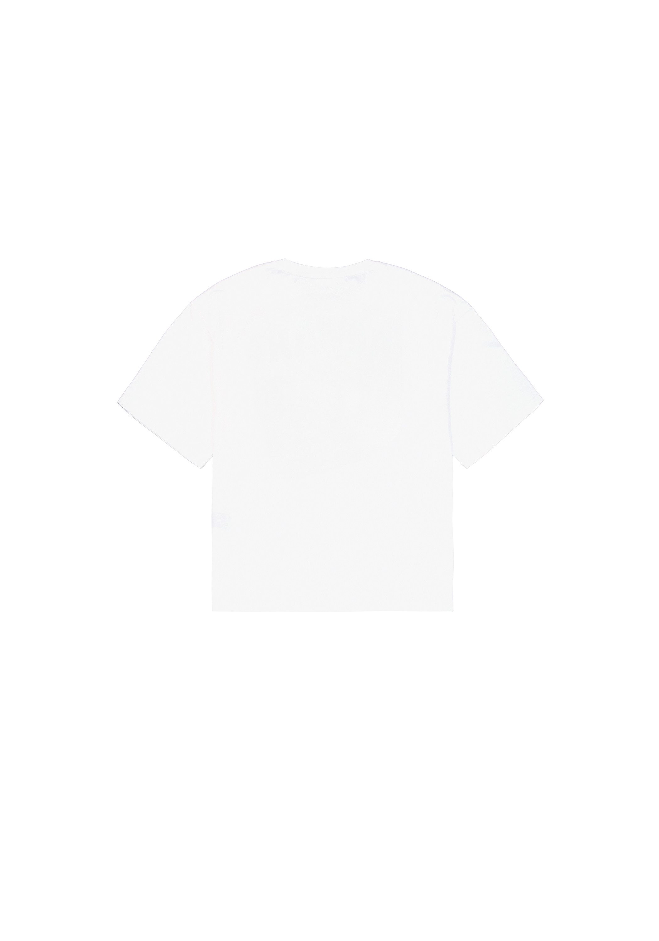 Alpha Industries T-Shirt College T-Shirt günstig online kaufen