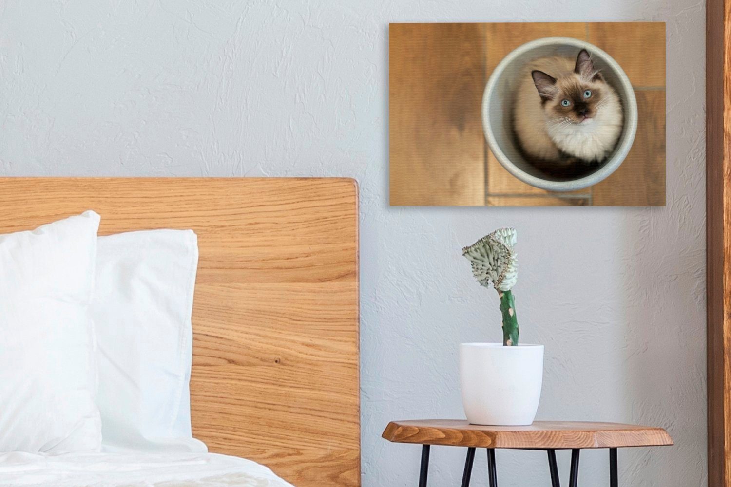 OneMillionCanvasses® Leinwandbild Eine Ragdoll-Katze 30x20 Wandbild St), Plastikeimer, in (1 Wanddeko, einem Leinwandbilder, cm Aufhängefertig