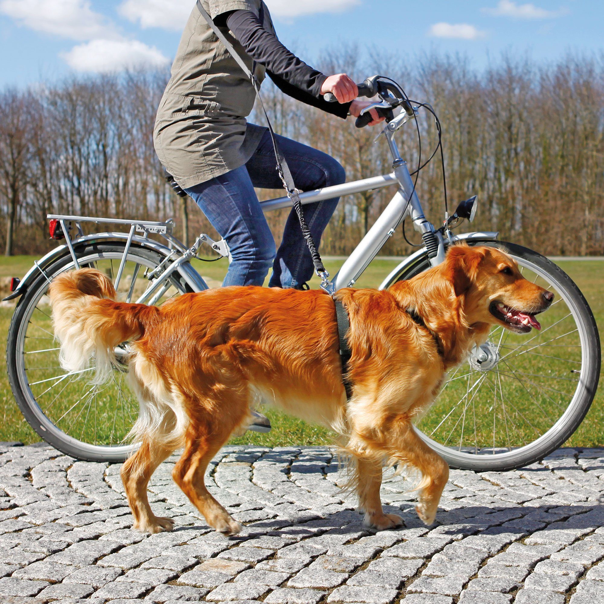 TRIXIE Fahrradleine »Fahrrad - und Joggingleine«, Nylon (2-tlg), Unsere  Fahrrad- und Joggingleine besteht aus 2 Teilen: der verstellbaren  Umhängeleine und der flexiblen Expanderleine online kaufen | OTTO