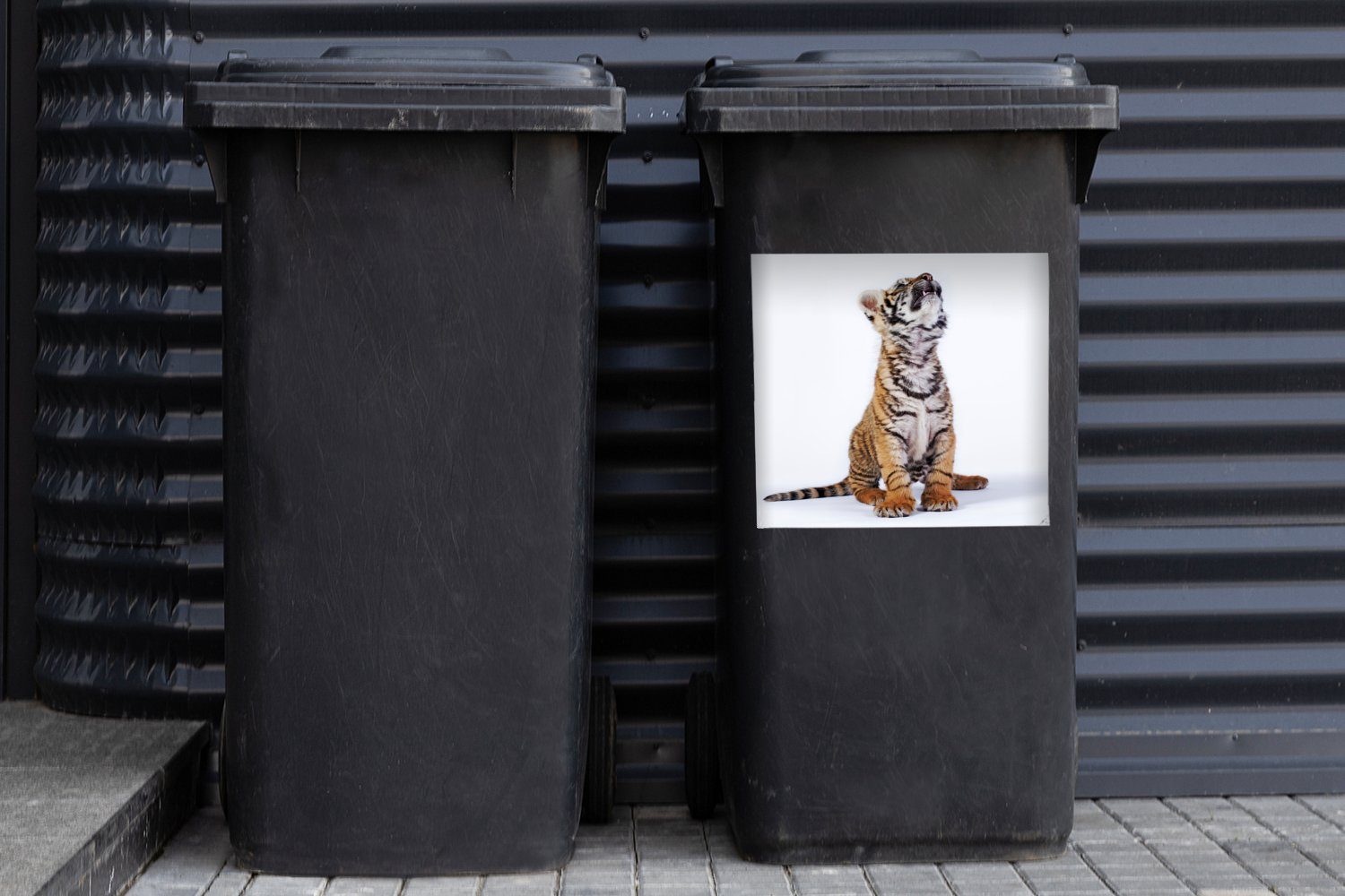 Mülleimer-aufkleber, Abfalbehälter Sticker, Mülltonne, St), Tiger MuchoWow Jungtier Weiß (1 - - Container, Wandsticker