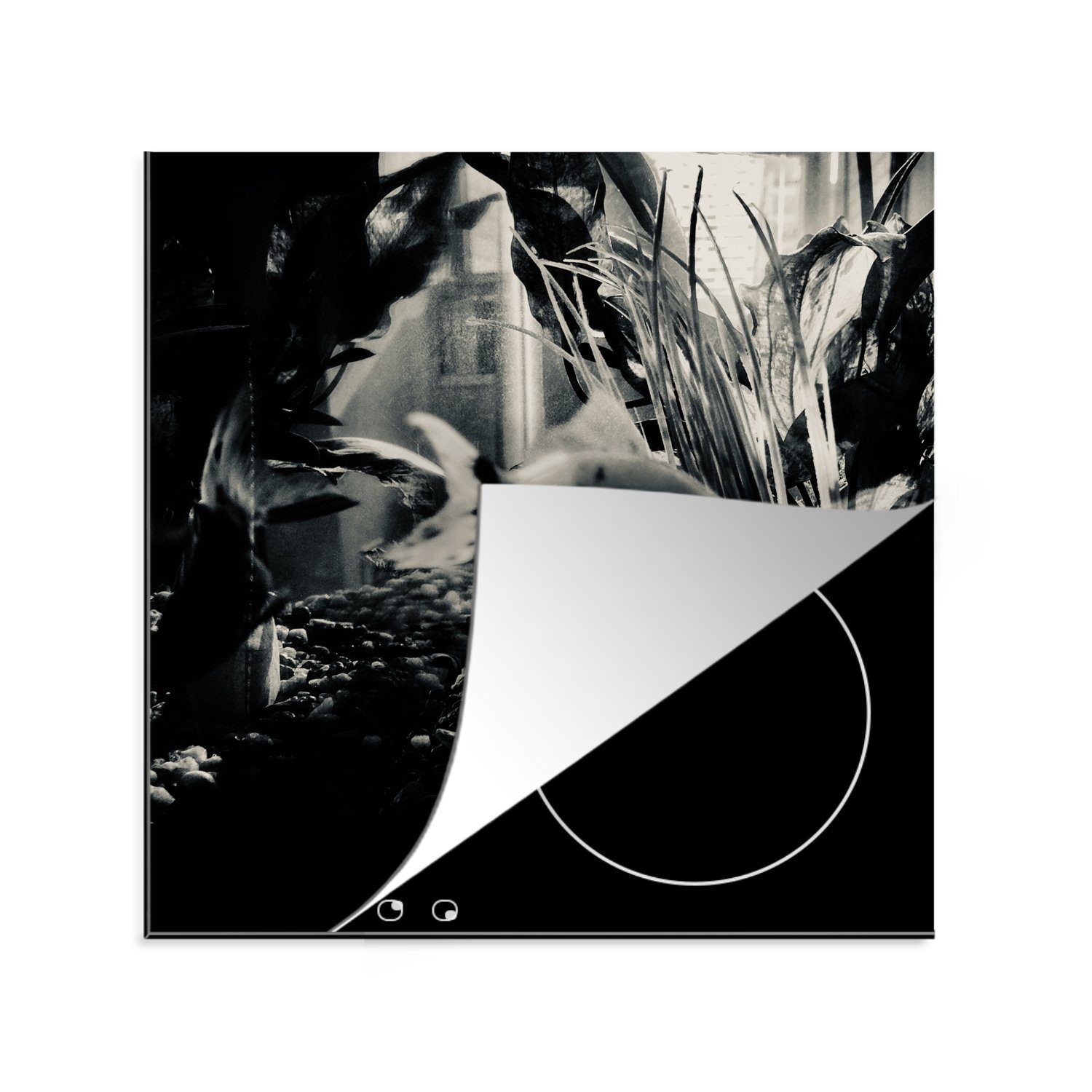 MuchoWow Herdblende-/Abdeckplatte Goldfisch cm, Schwarz und mit Ceranfeldabdeckung, Weiß, 78x78 (1 Schwanz Arbeitsplatte in tlg), Vinyl, küche kleinem für