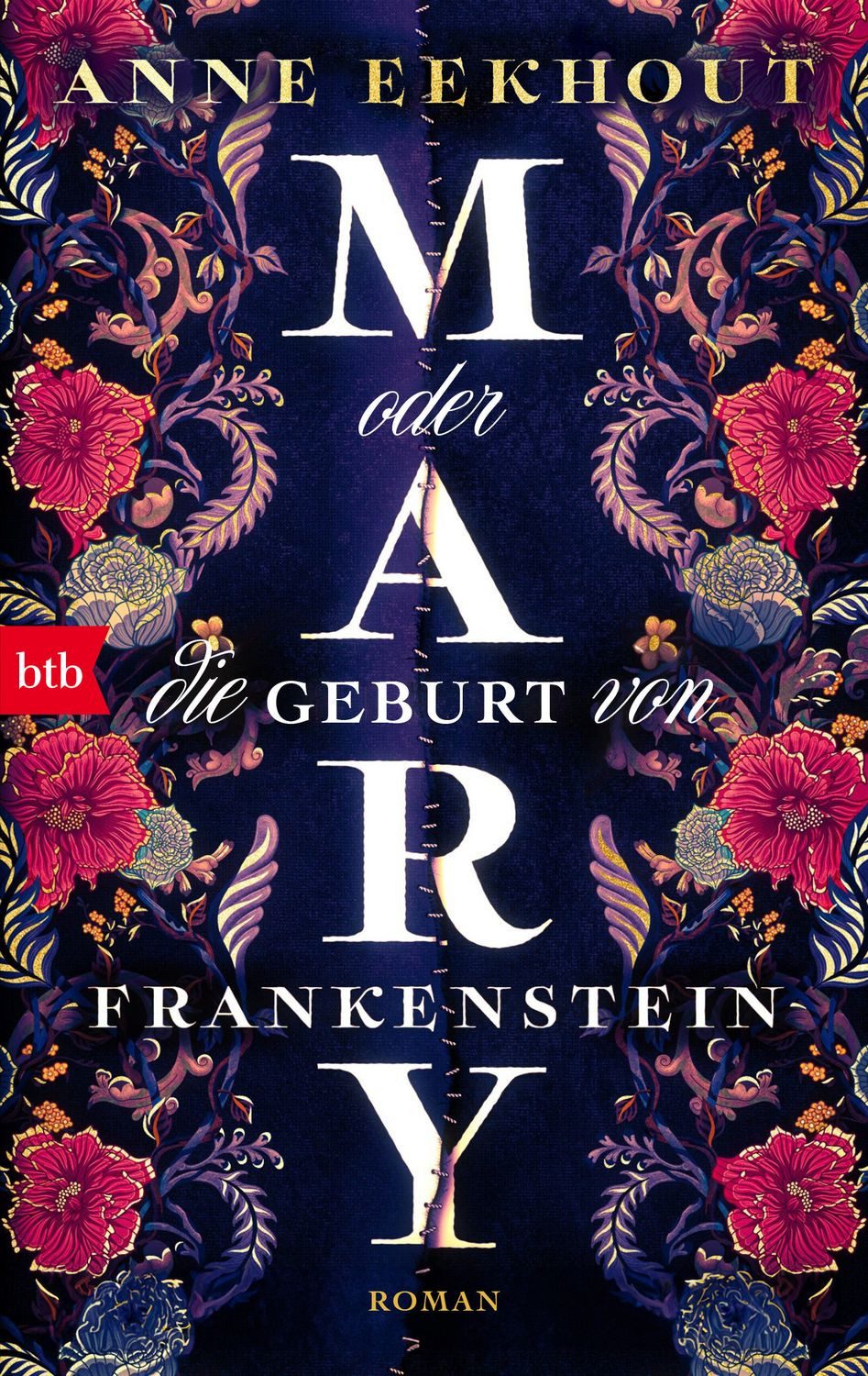 Mary oder die Geburt von Frankenstein / Anne Eekhout, Roman