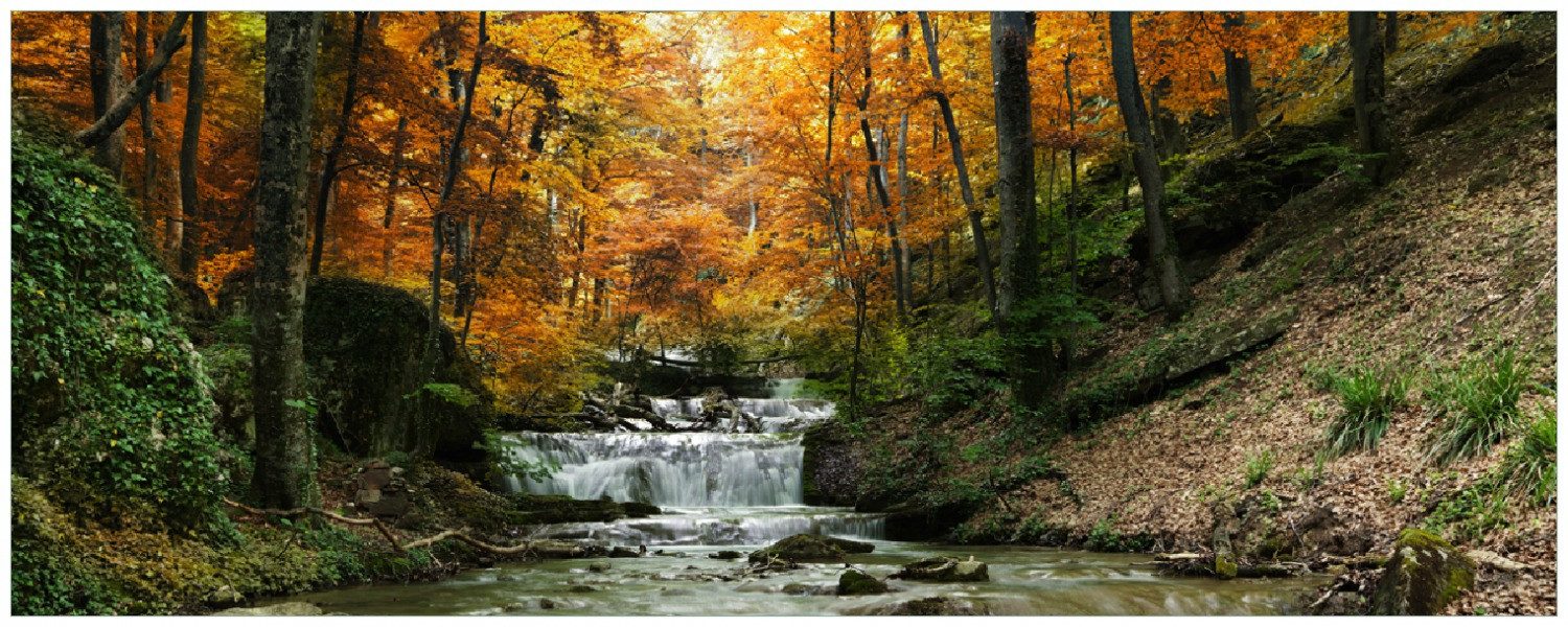 Wallario Memoboard Kleiner Bach über Steine im Herbstwald