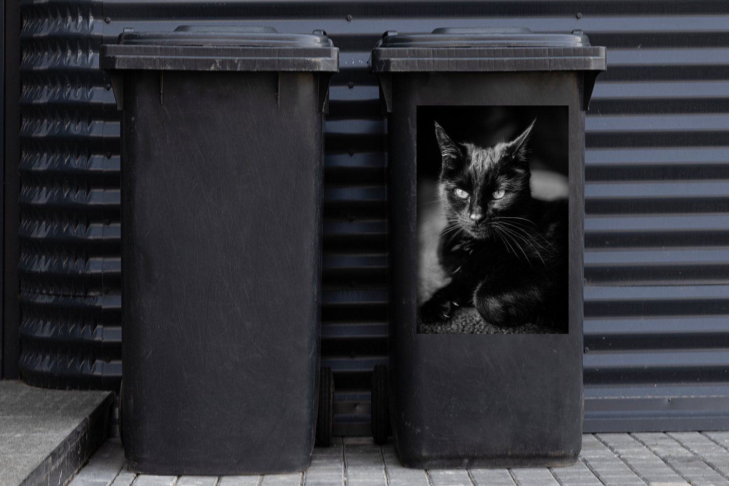 MuchoWow Mülltonne, Wandsticker Abfalbehälter Container, einer schwarzen St), Mülleimer-aufkleber, Katze (1 Sticker, Porträt