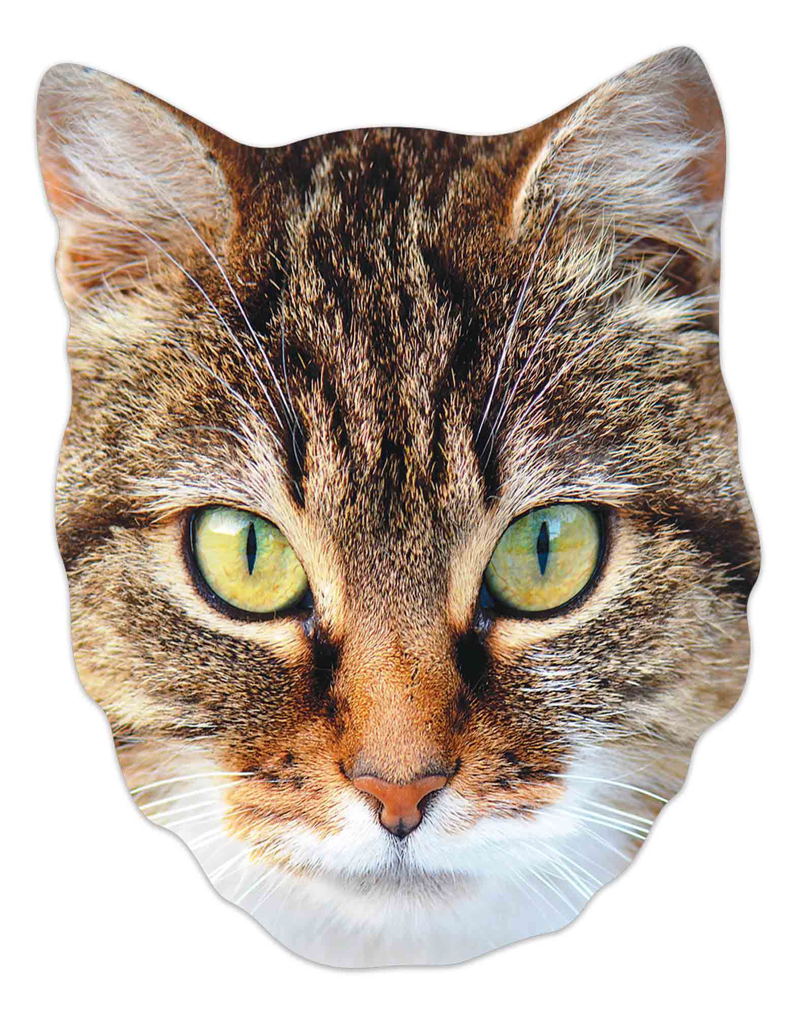Verkleidungsmaske Tier Maske - Masken - Cat