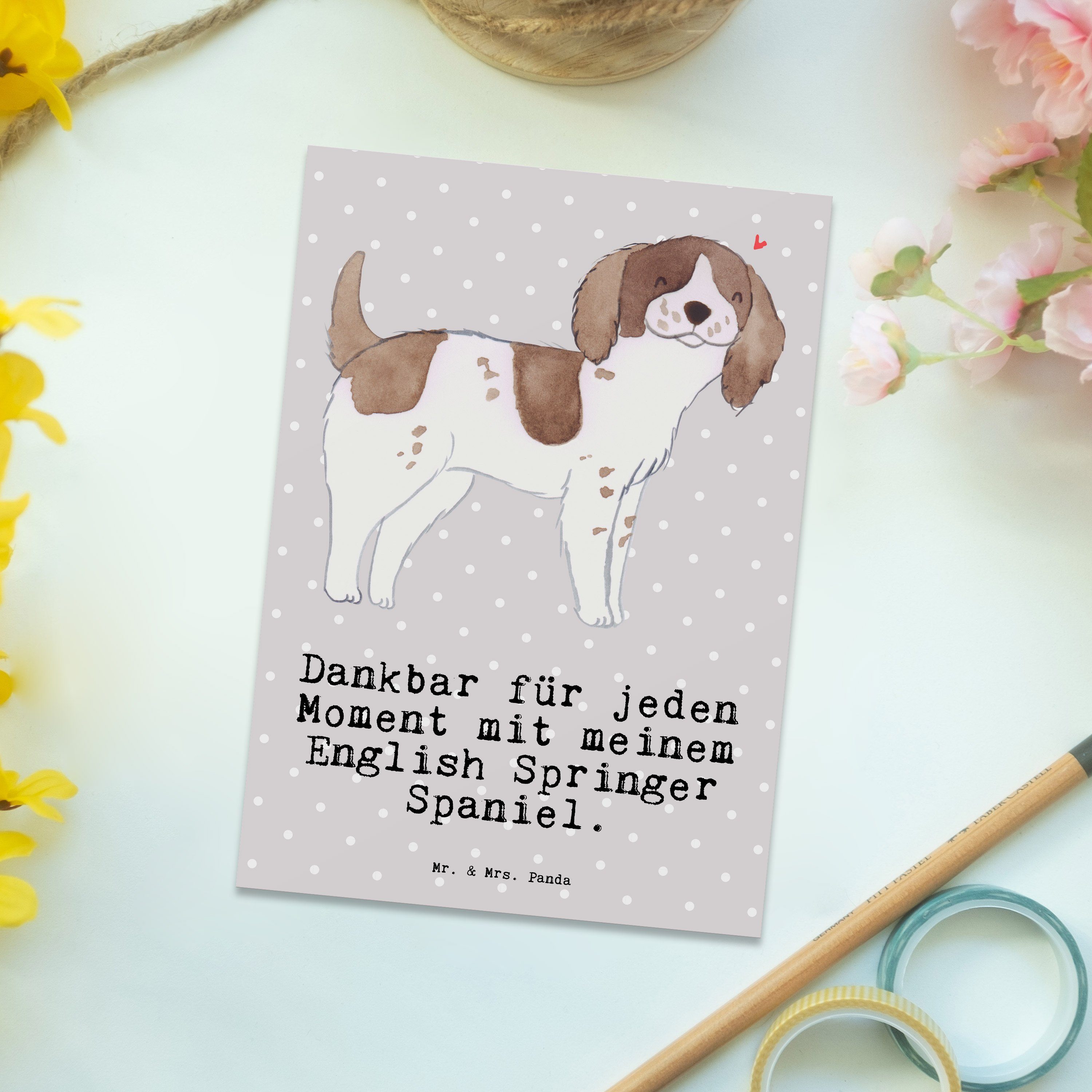 Panda Springer Welpe, Pastell Moment Mrs. & Mr. - Postkarte Spaniel Ein Grau Geschenk, - English