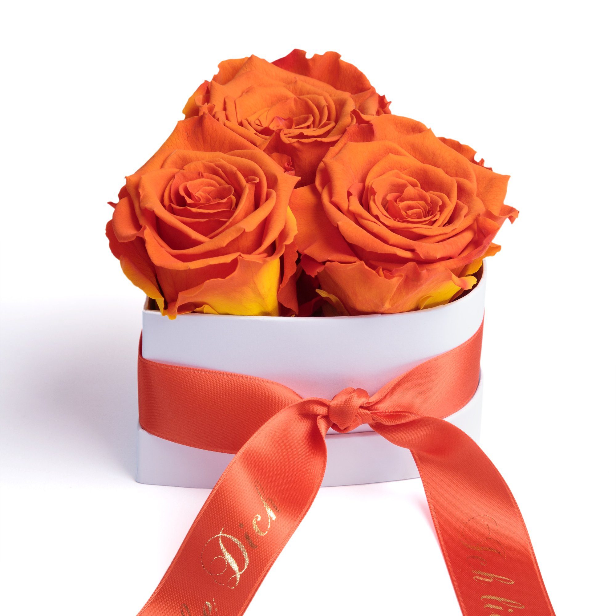 Herz Valentinstag Rose, Heidelberg, orange Ich ROSEMARIE Rosen Liebesbeweis cm, Höhe liebe Rosenbox SCHULZ Sie 10 für 3 Kunstblume Geschenk infinity Dich