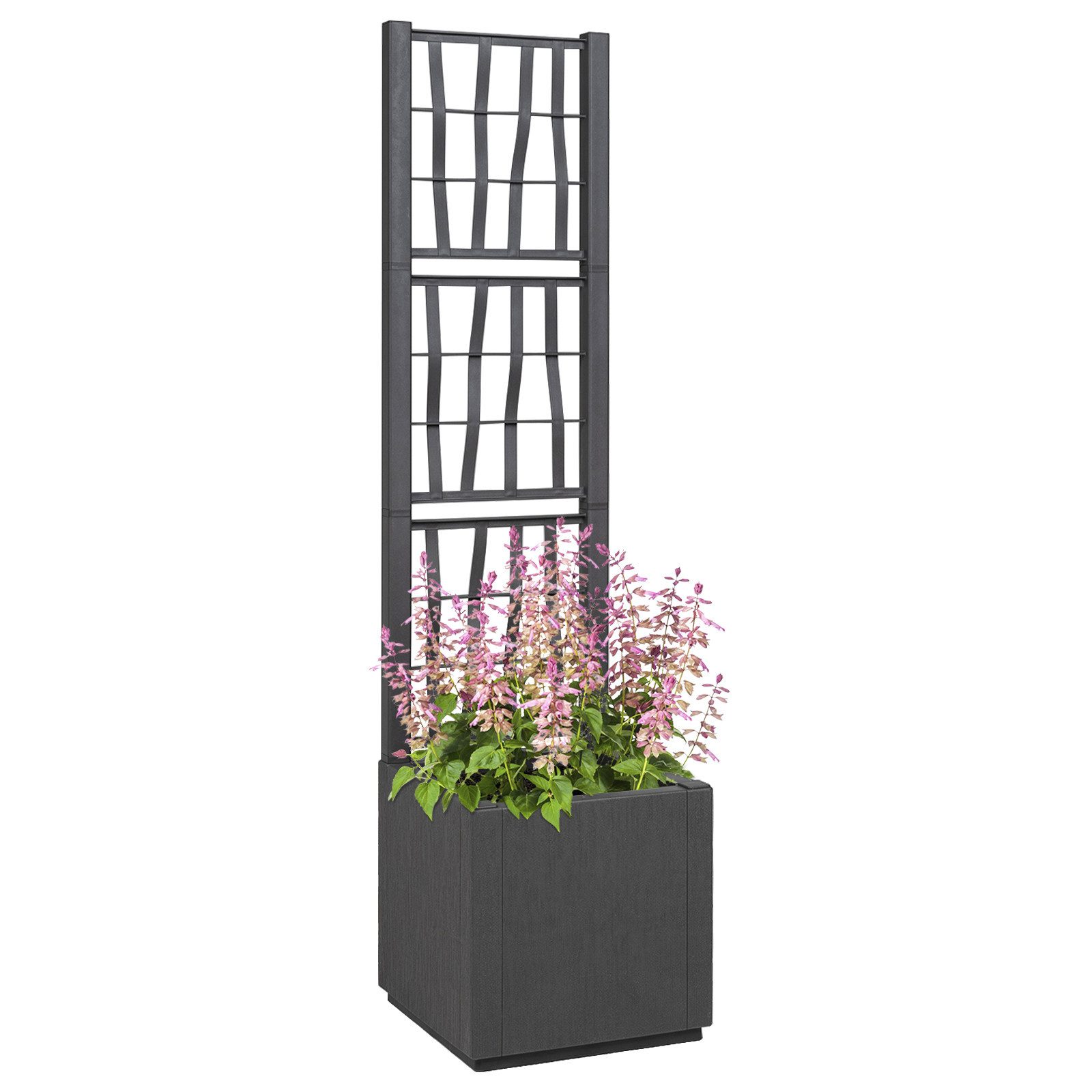vidaXL Blumentopf Dunkelgrauer Gartenpflanzer mit Spalier günstig online kaufen