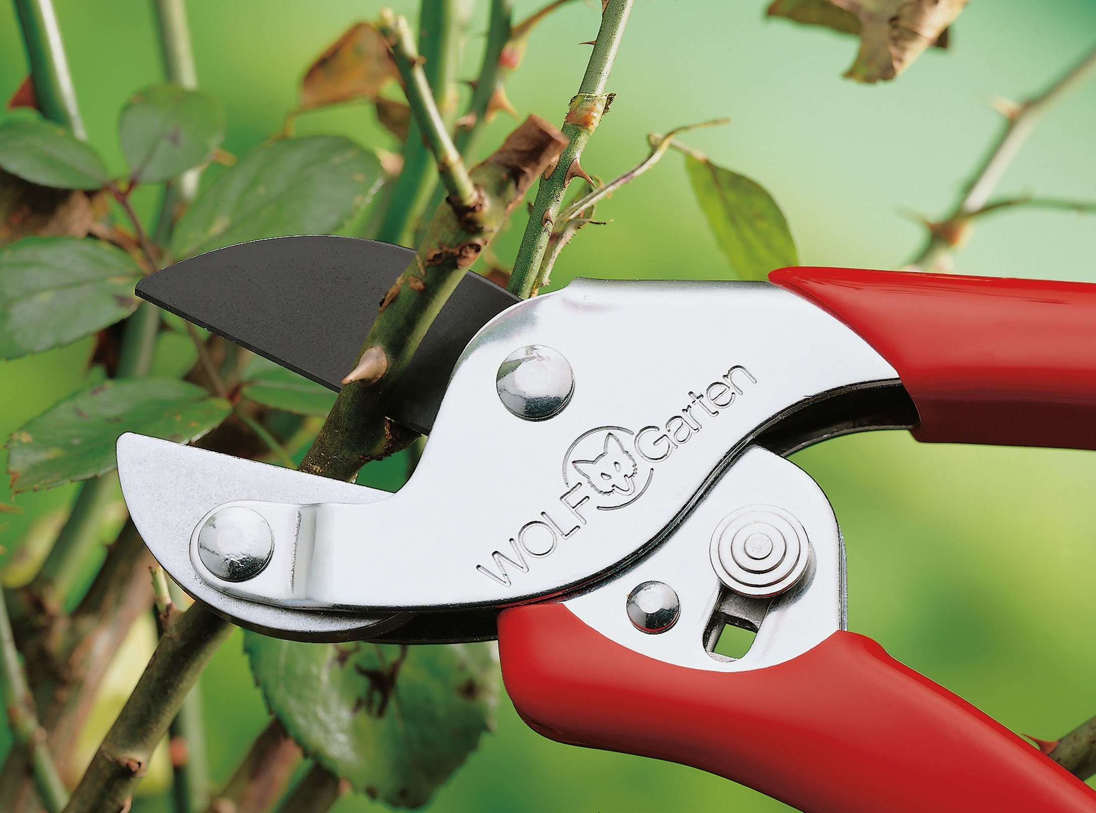 WOLF-Garten Gartenschere
