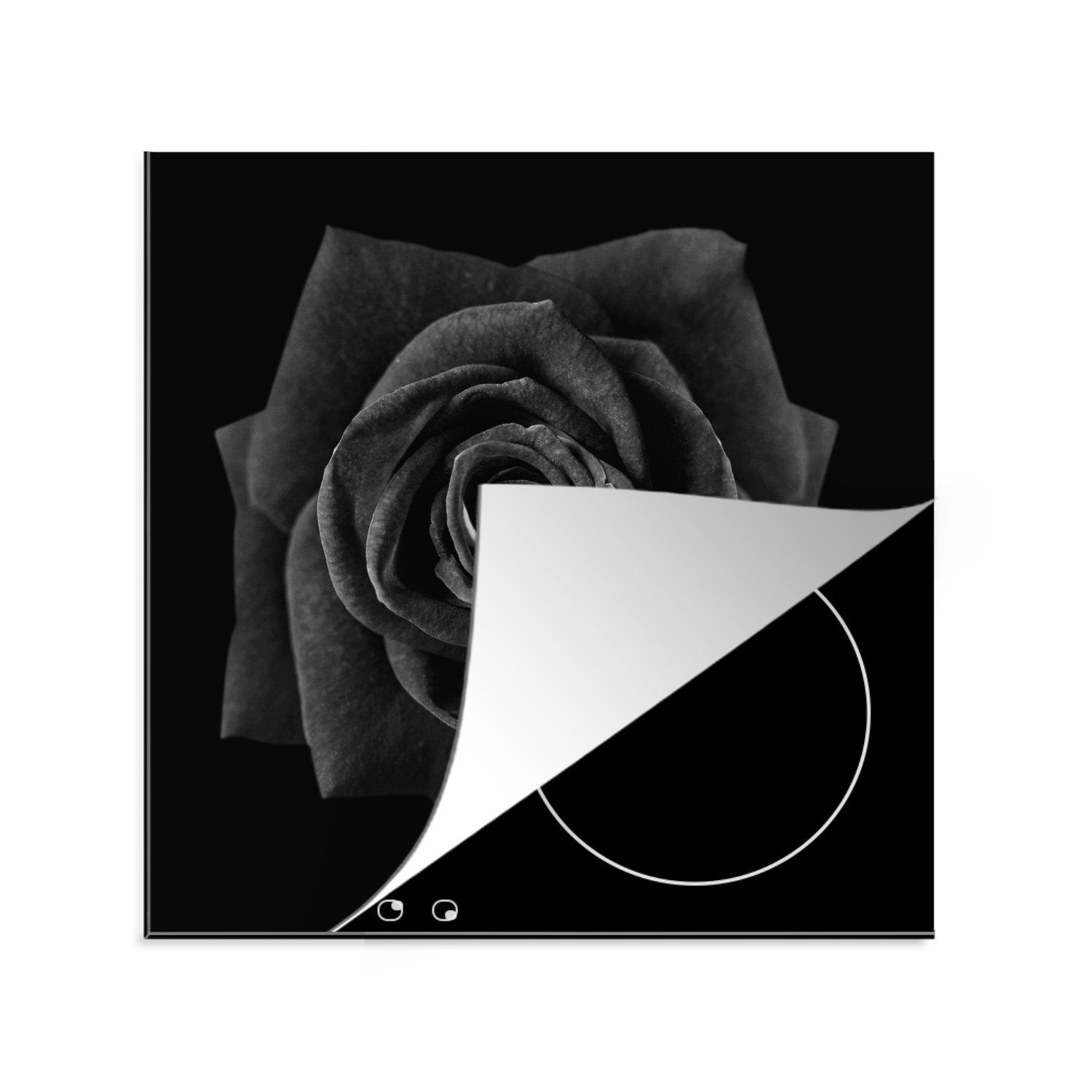 MuchoWow Herdblende-/Abdeckplatte Rose - Rosenblütenblätter - Schwarz, Vinyl, (1 tlg), 78x78 cm, Ceranfeldabdeckung, Arbeitsplatte für küche