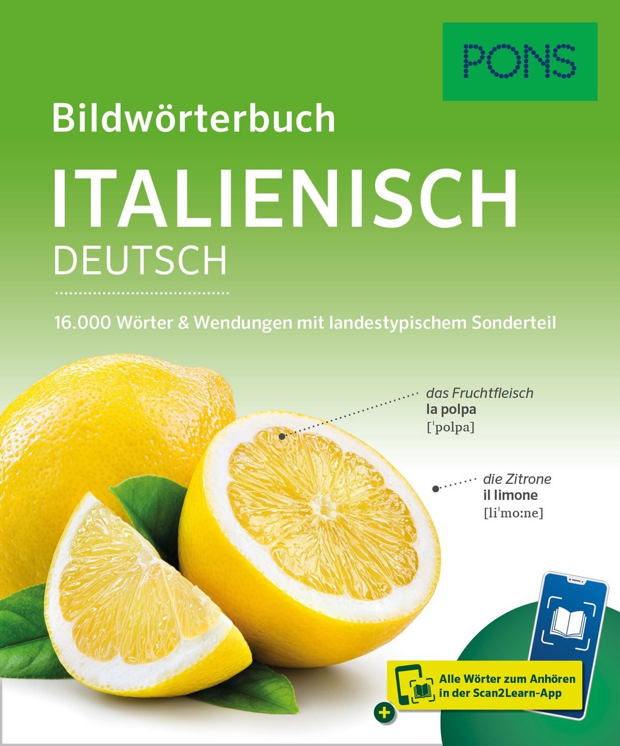 PONS Bildwörterbuch Italienisch / diverse