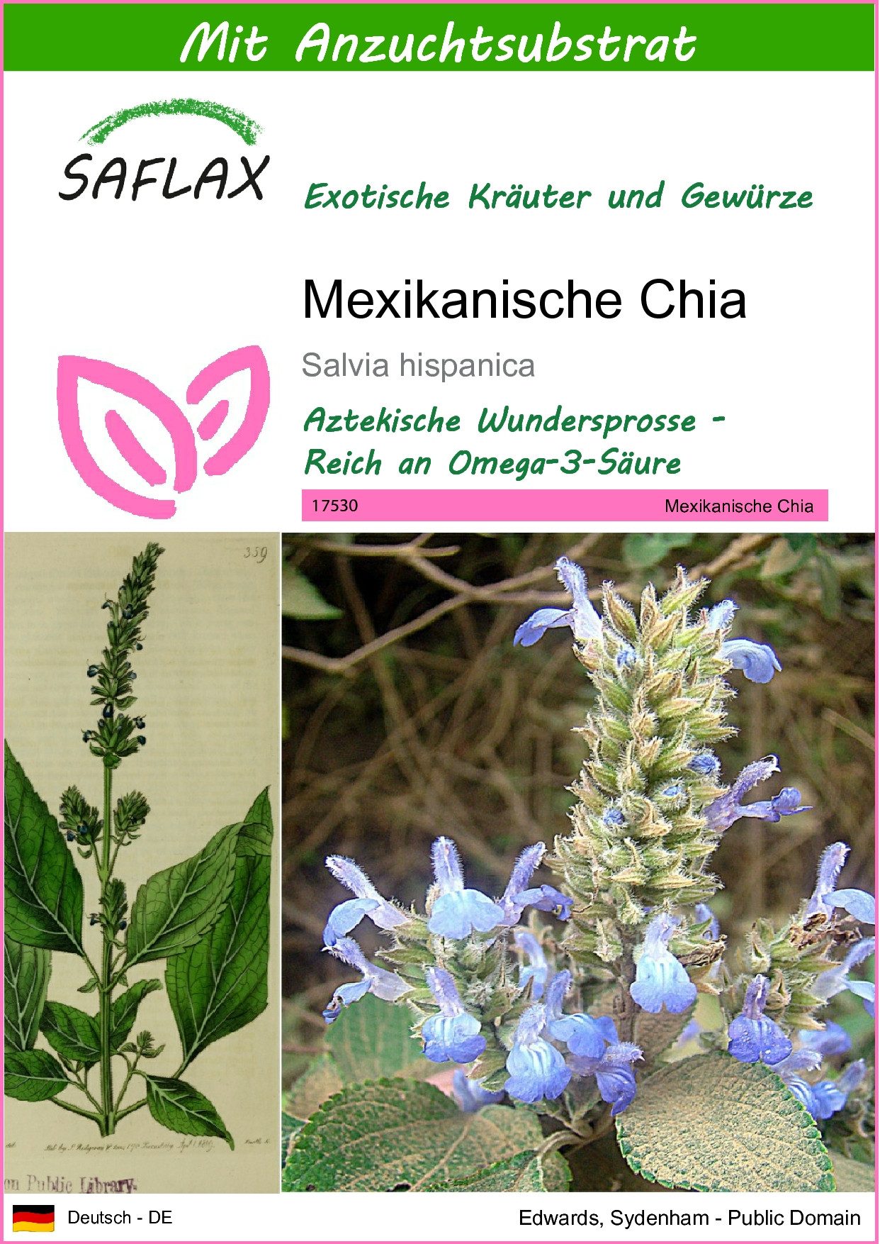 SAFLAX Kräutersamen SAFLAX - Samen und Substrat - Mexikanische Chia