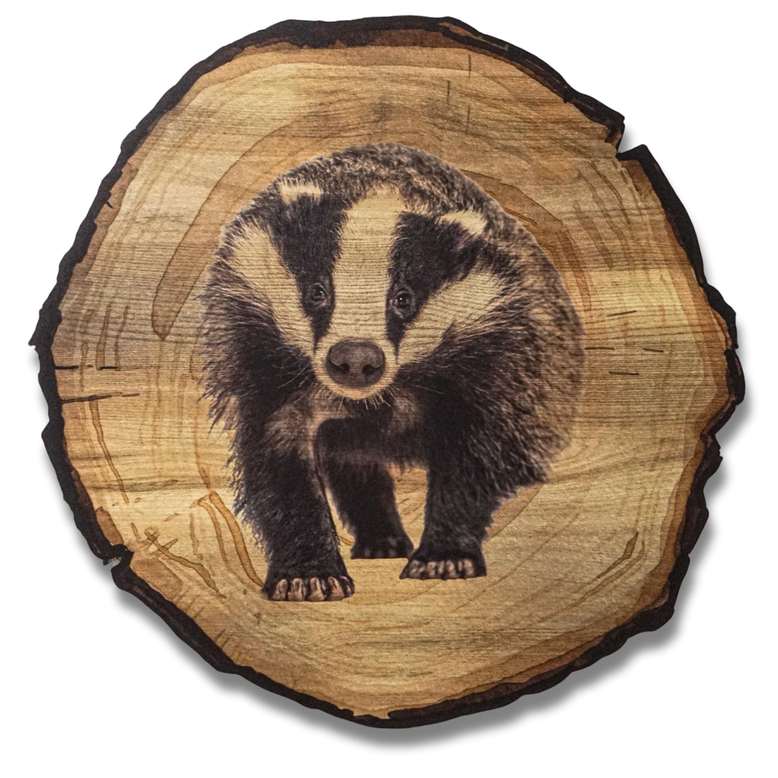 DARO Design Wandbild Wildtiere Jagd Wandbilder Wand Deko Bilder Natur, (Dachs - Bild klein Wohnzimmer Flur Arbeitszimmer Schlafzimmer Diele Einteilig Rund Fotodruck Jagd & Wildtiere), 20cm