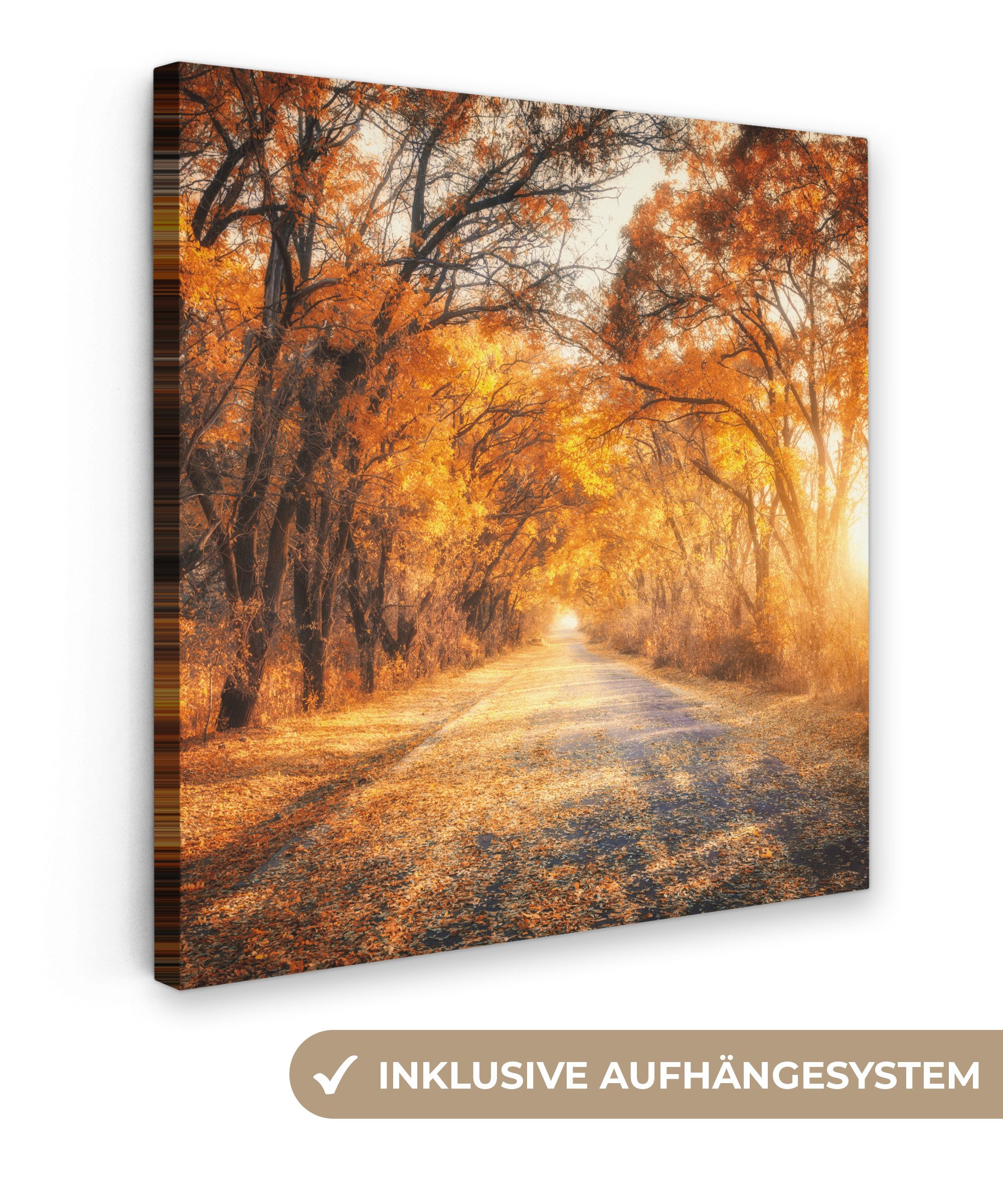 OneMillionCanvasses® Leinwandbild Wald - Herbst - Bäume - Weg - Natur, Foto günstig online kaufen