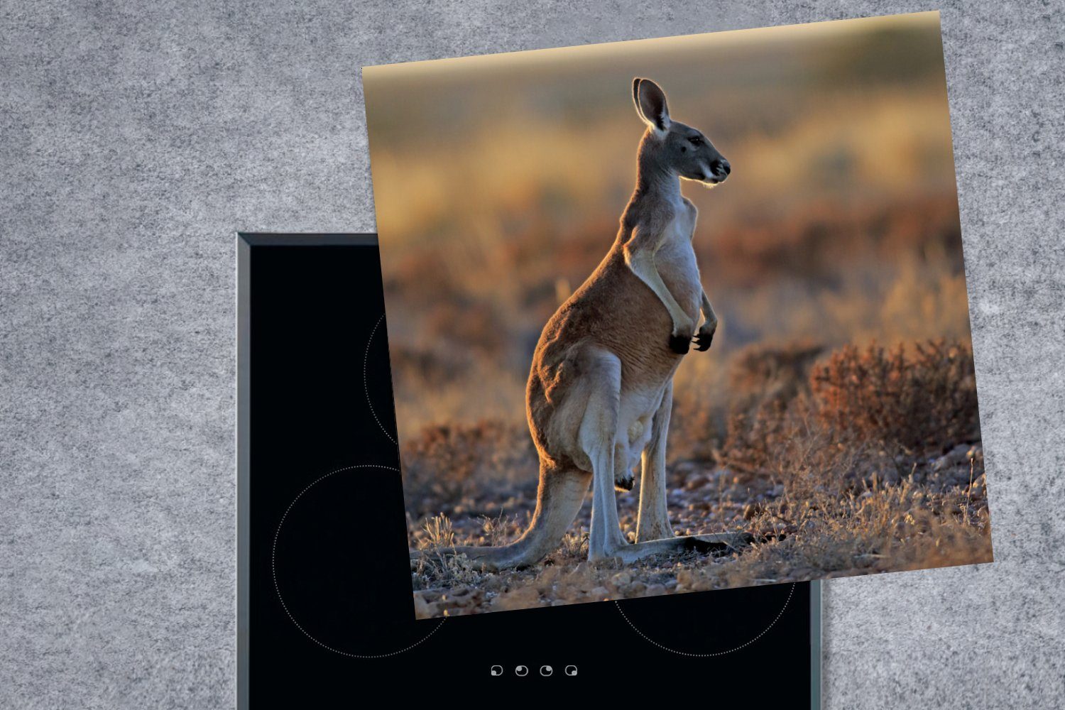Herdblende-/Abdeckplatte MuchoWow Tiere Känguru - 78x78 cm, küche tlg), (1 Arbeitsplatte - Natur, für Vinyl, Ceranfeldabdeckung,