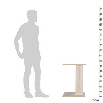 RICOO Beistelltisch WM043-ES, Sofatisch mit Stauraum Ablage Wohnzimmer Tisch Nachttisch Kaffeetisch