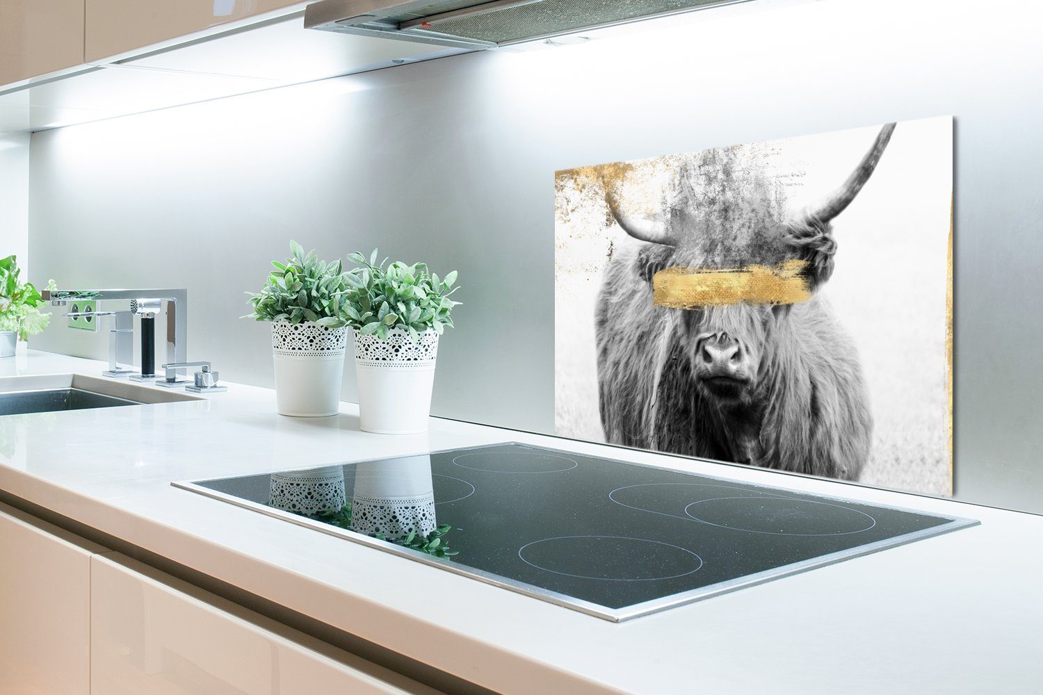 cm, 60x40 (1-tlg), - Hochländer - MuchoWow küchen Küchenrückwand Farbe, Temperaturbeständig Gold Wandschutz, aus Herdblende Schottischer
