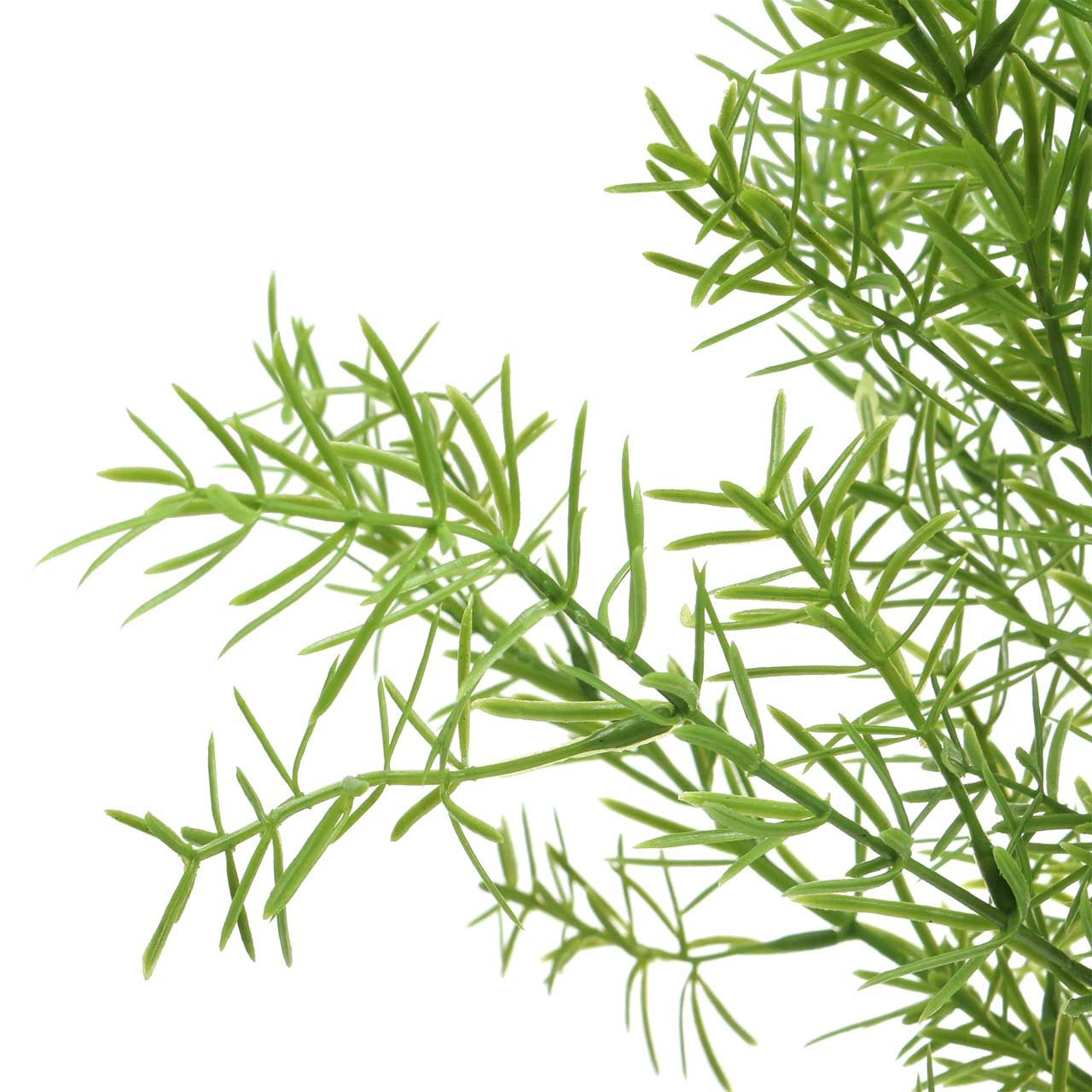 Künstliche Zimmerpflanze Asparagus Zierspargel künstlich Dekopflanze günstig online kaufen