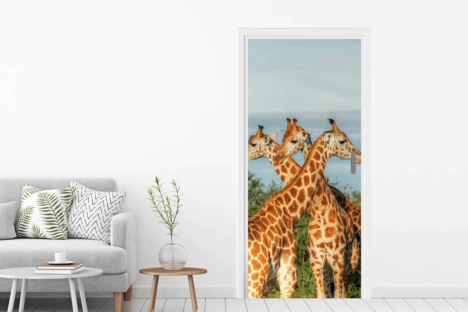 Matt, Giraffen Türtapete Türaufkleber, (1 - - cm 75x205 bedruckt, für Fototapete Tür, MuchoWow Luft St), Tiere,