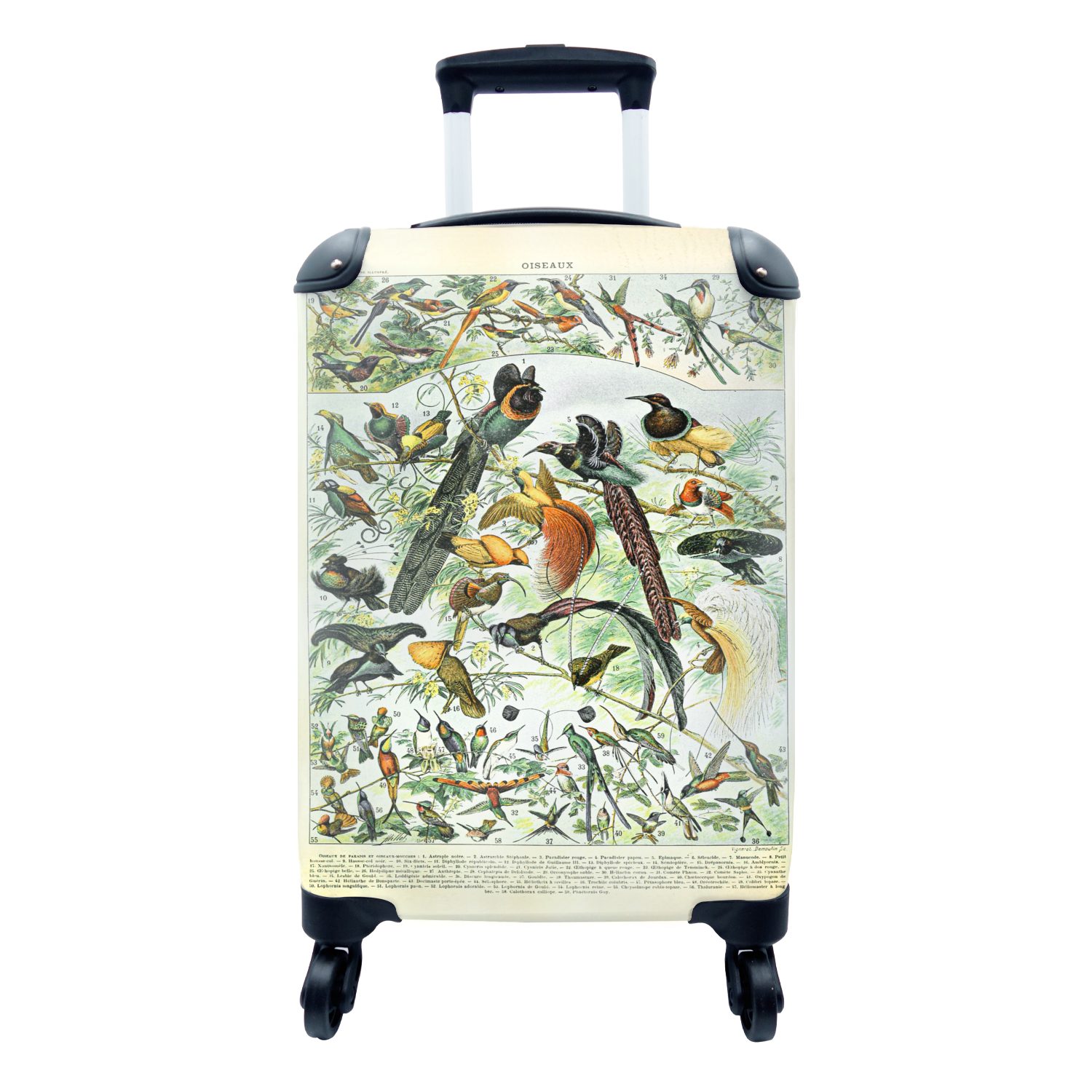 MuchoWow Handgepäckkoffer Vögel - Natur - Tiere, 4 Rollen, Reisetasche mit rollen, Handgepäck für Ferien, Trolley, Reisekoffer